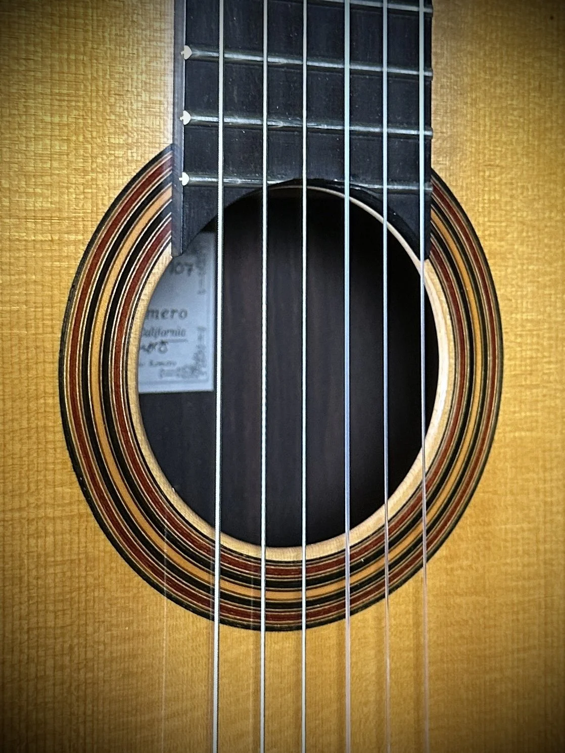 137 Pepe Romero 2006 rose.JPG