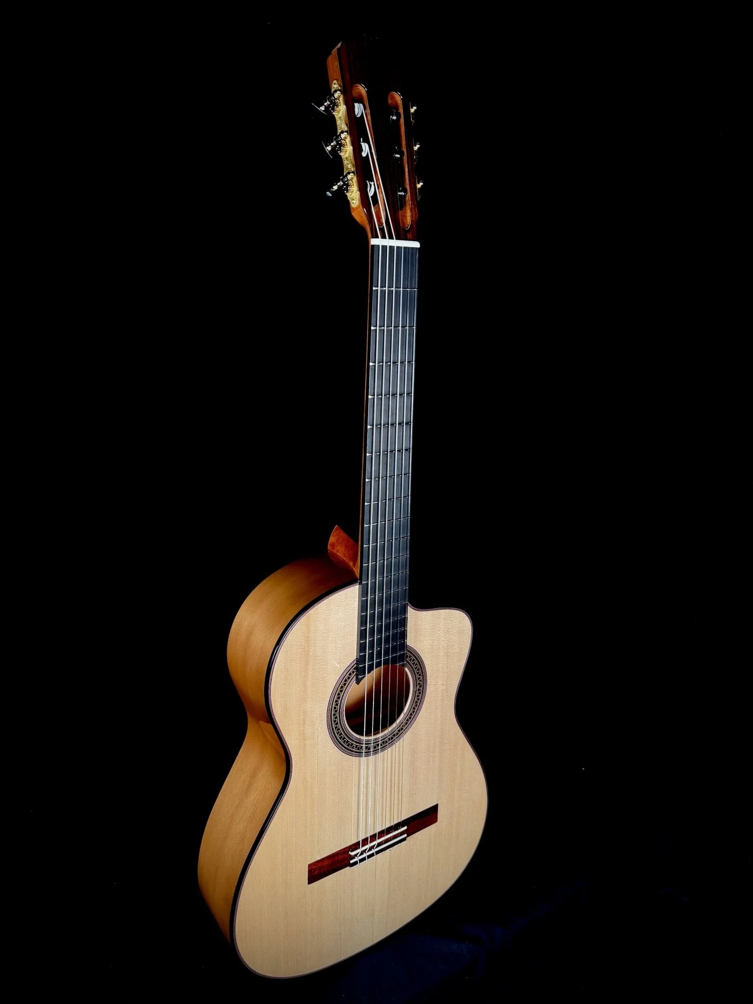 1006 Pro Nylon Cutaway front angle.jpg