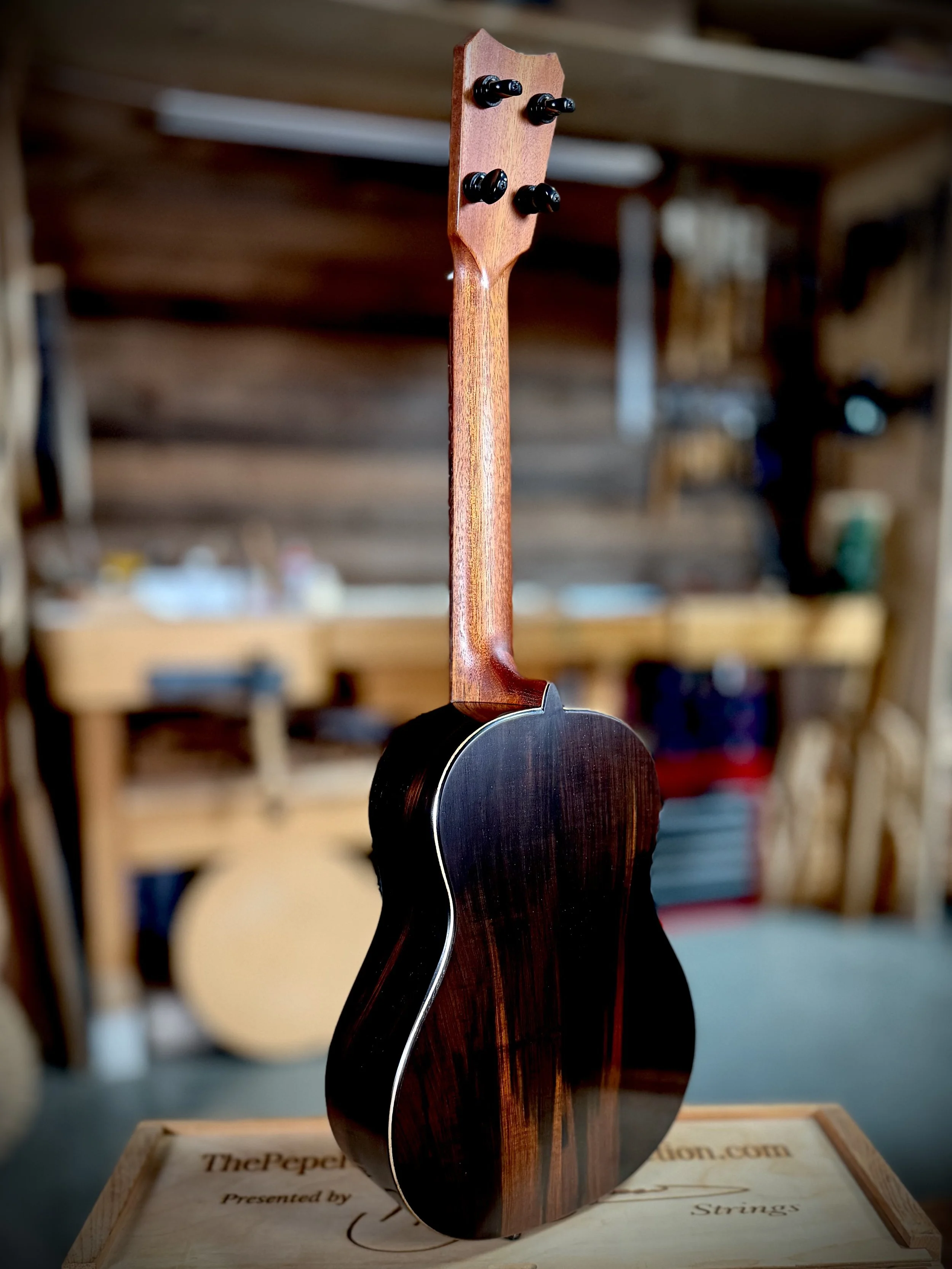#251 Spruce:CSA Rosewood "Pyro" Tenor $3200.jpg