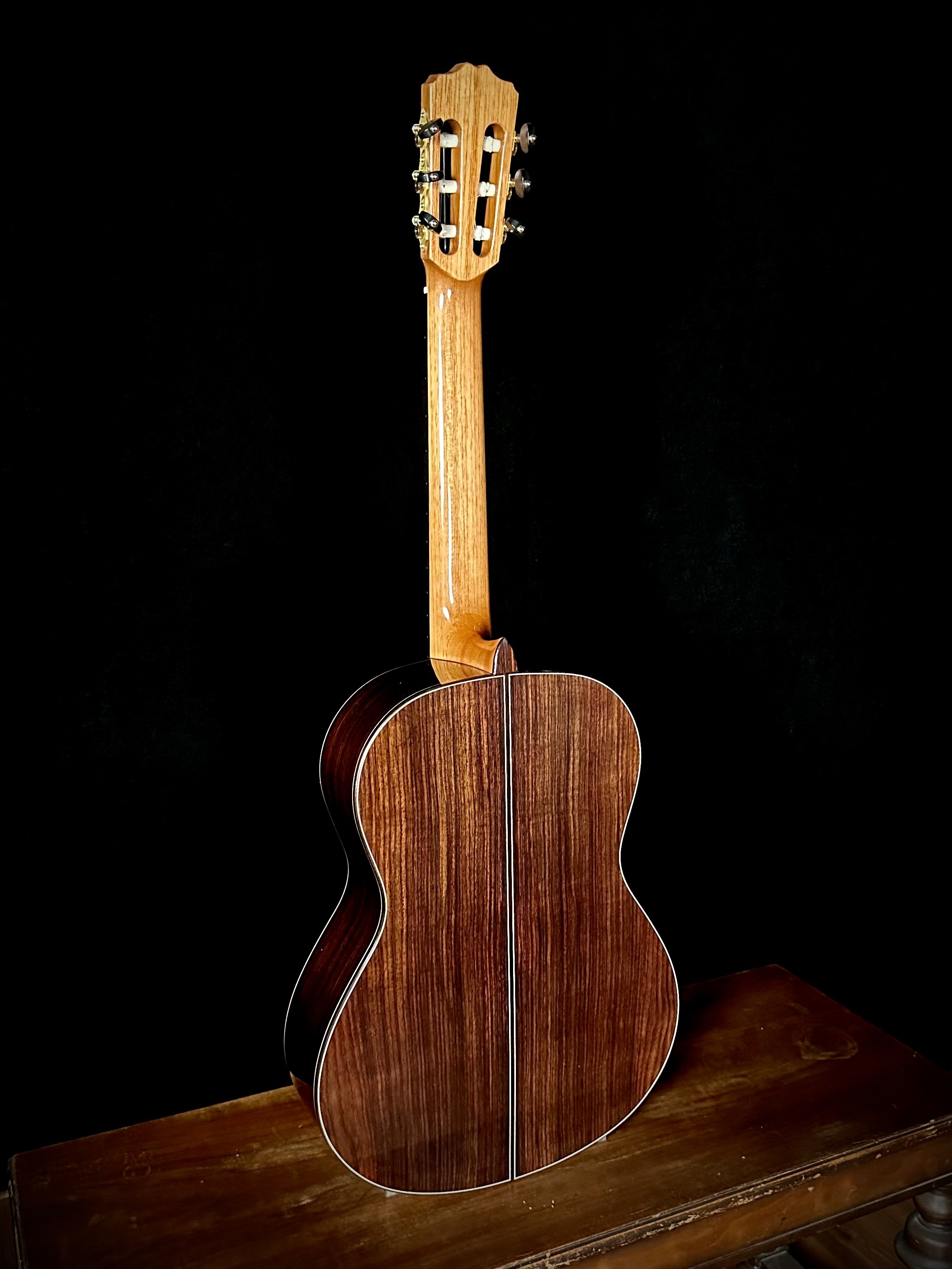 Demo Model Guitarras Romero 1a Especial Prototype back.jpeg