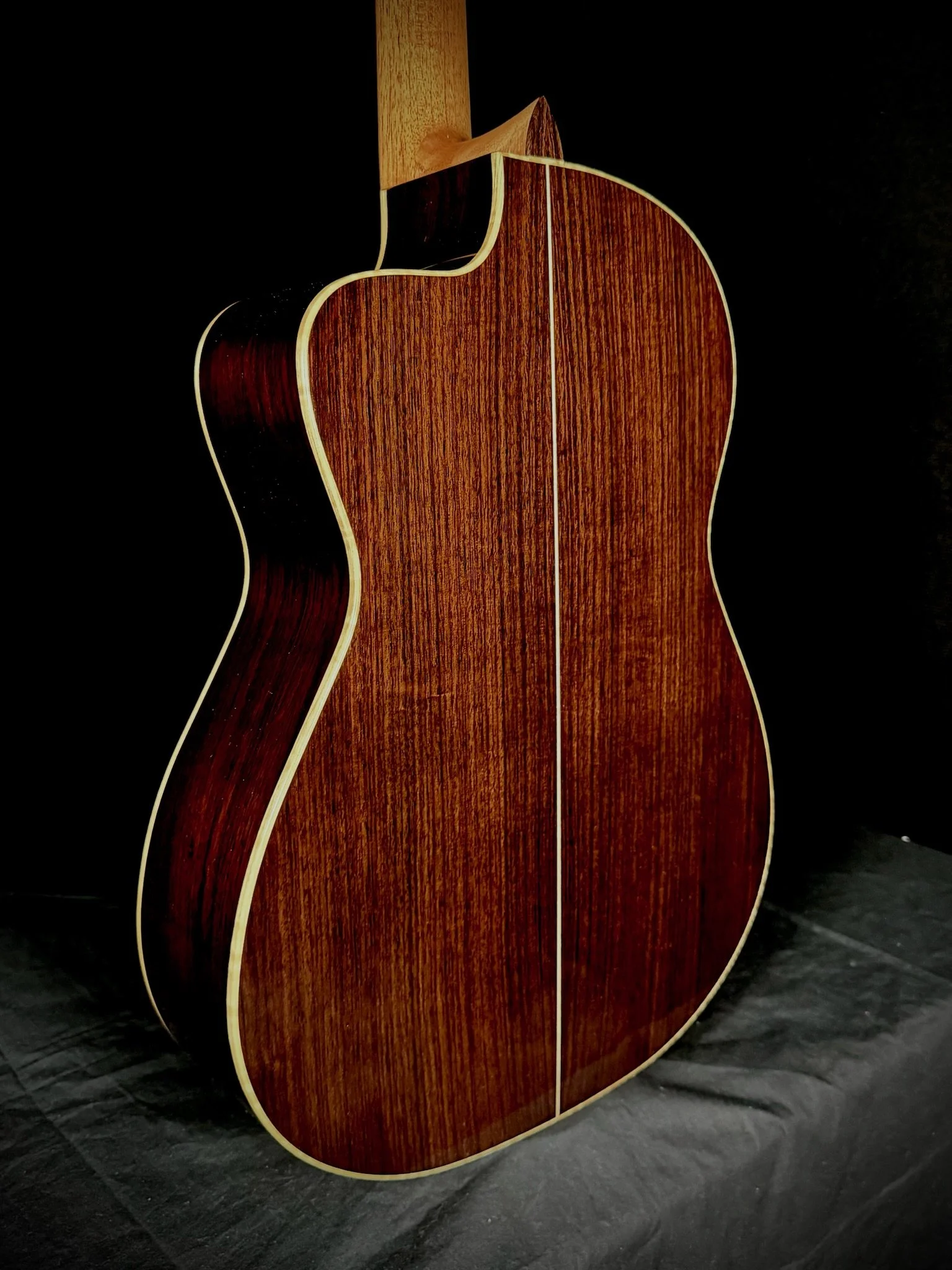 1005 Pro Nylon Cutaway backbody.jpg