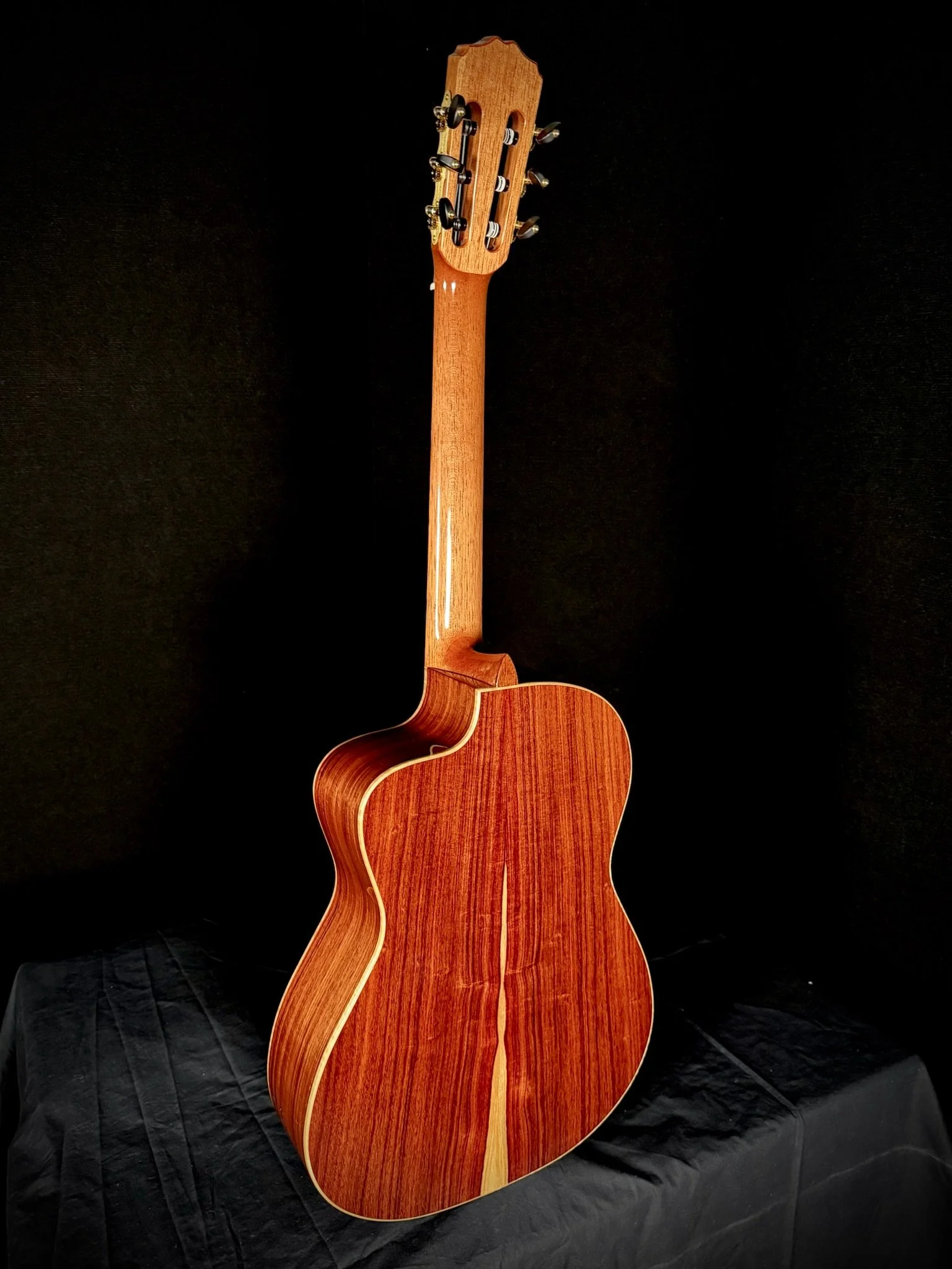 1001 Pro Nylon Cutaway back.jpg