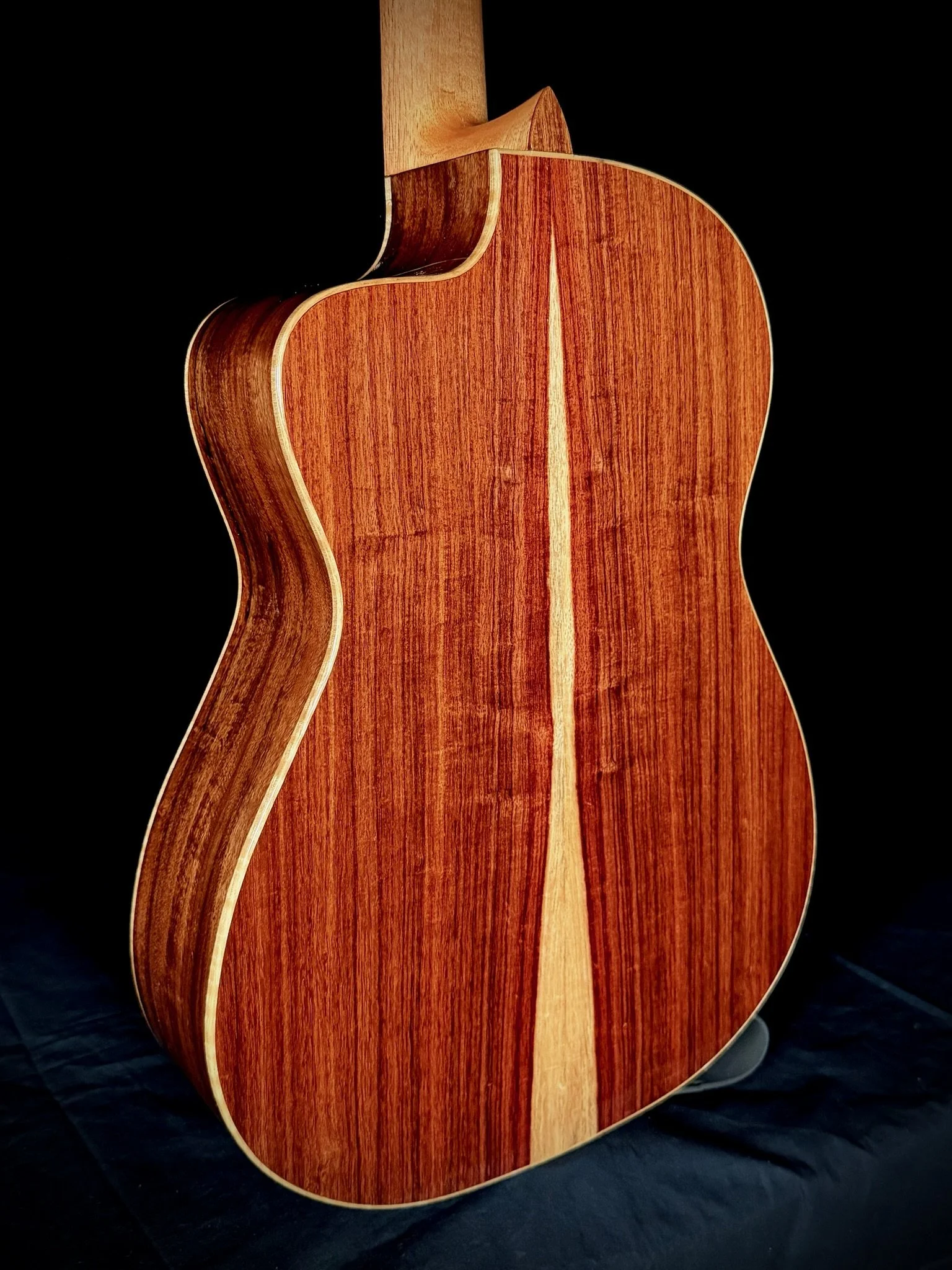 1002 Pro Nylon Cutaway backbody.jpg