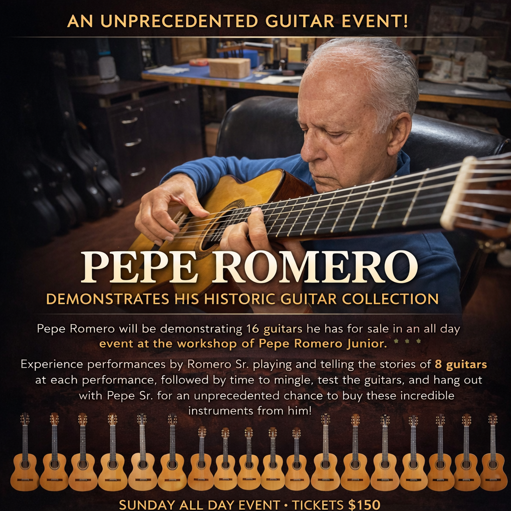 Demonstration Concert