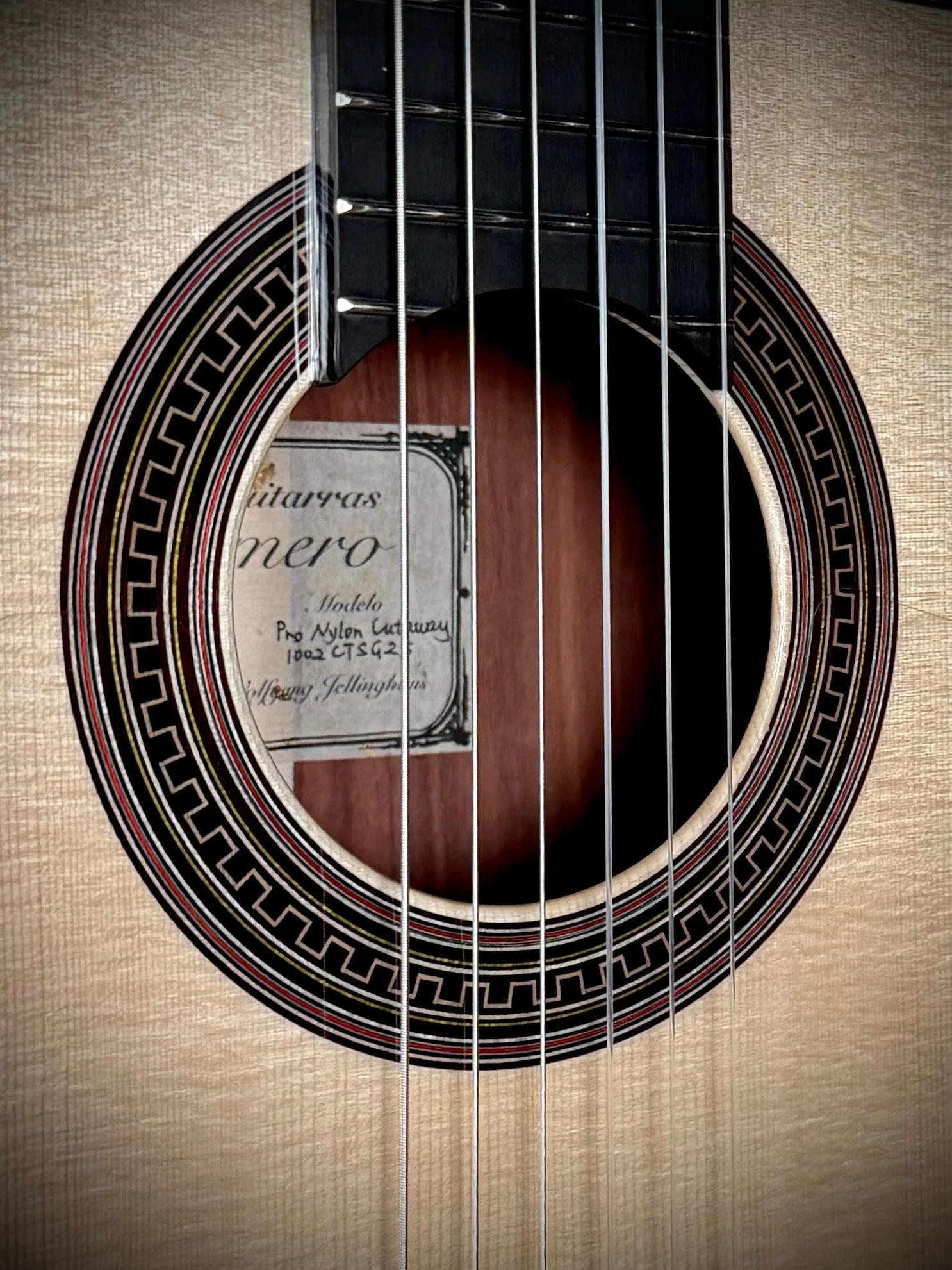 1002 Pro Nylon Cutaway rosette.jpg