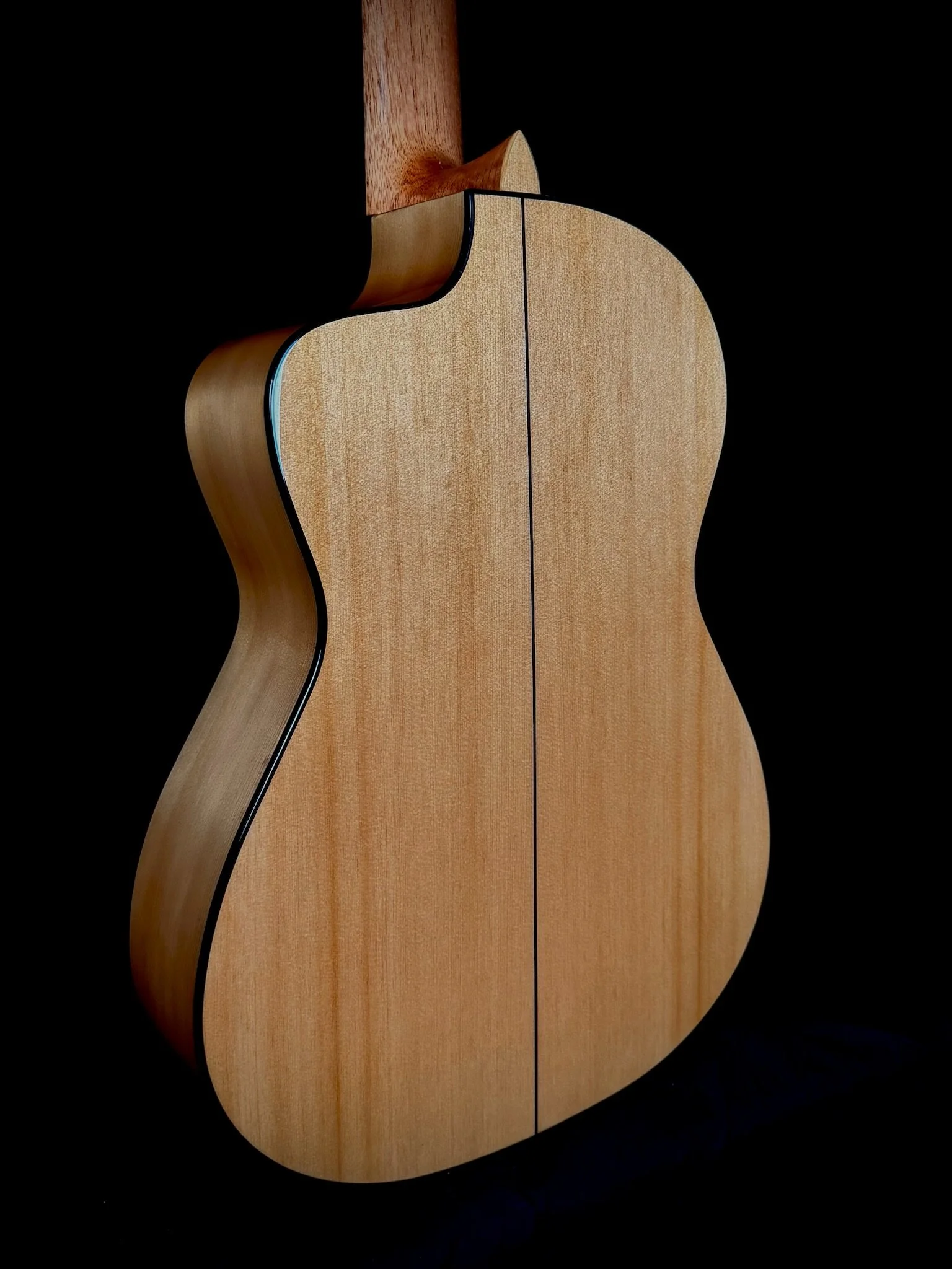1006 Pro Nylon Cutaway backbody.jpg