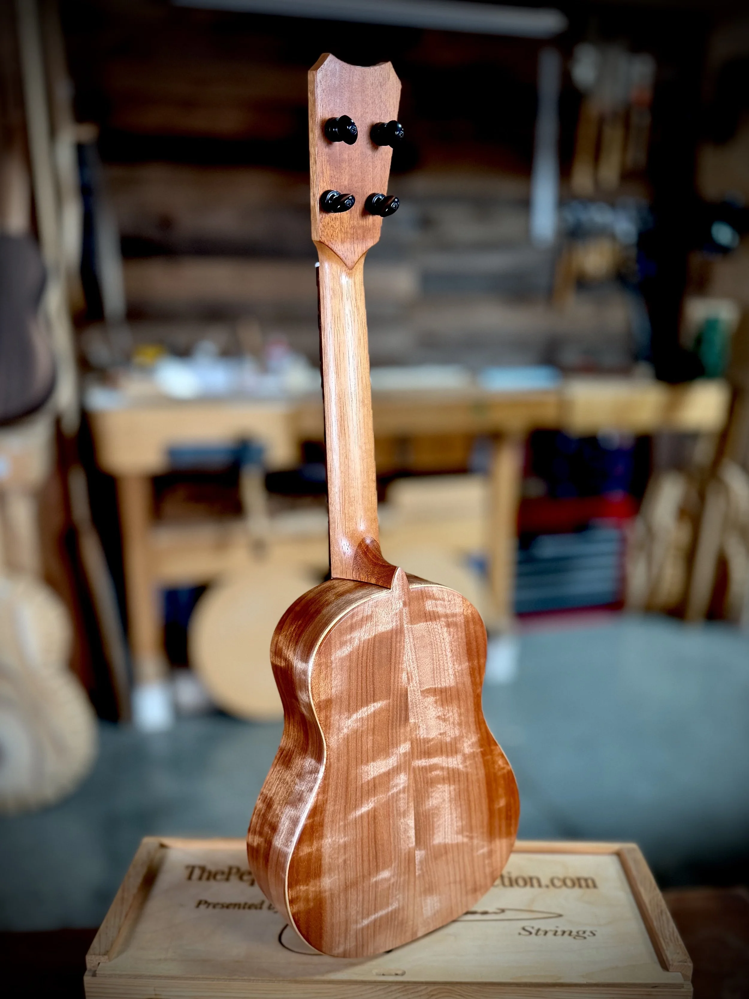 #253 Spruce:Makoi "Pyro" Tenor $3200.jpg