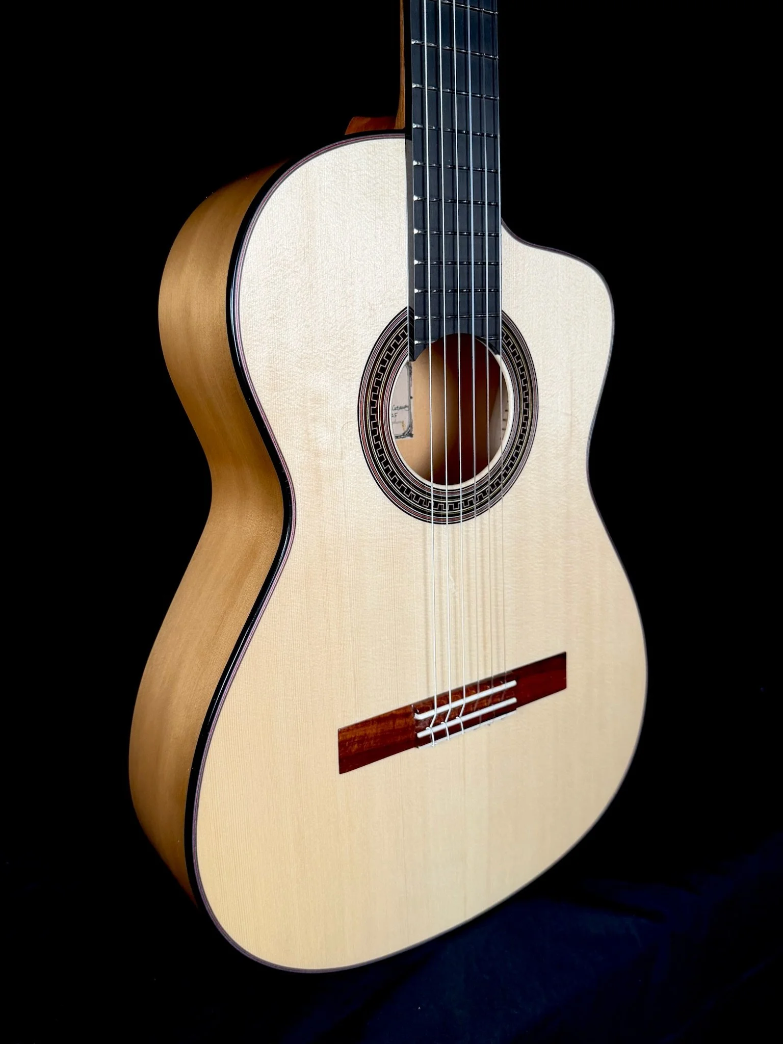 1006 Pro Nylon Cutaway frontbody.jpg