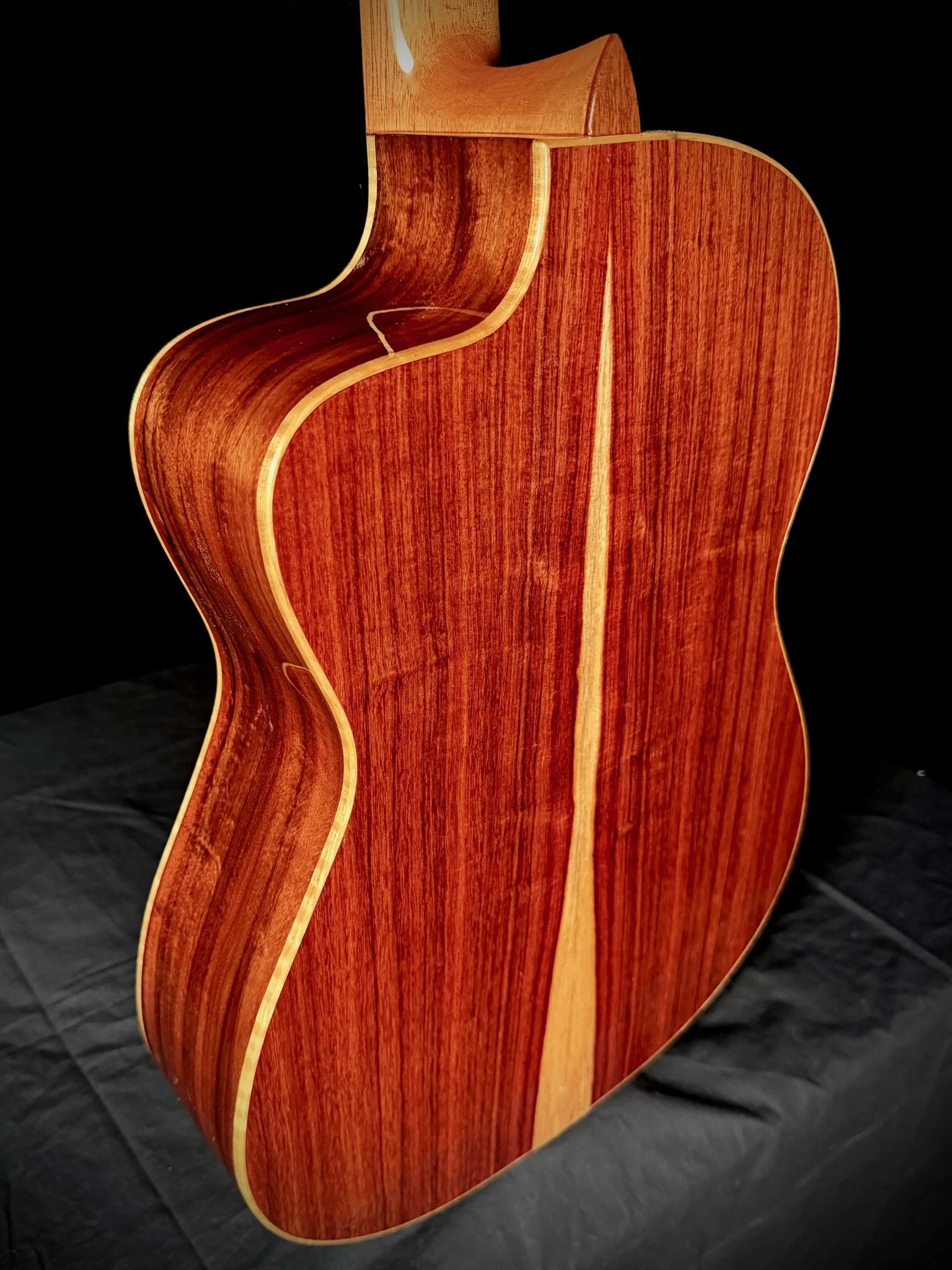 1002 Pro Nylon Cutaway backbody angle.jpg