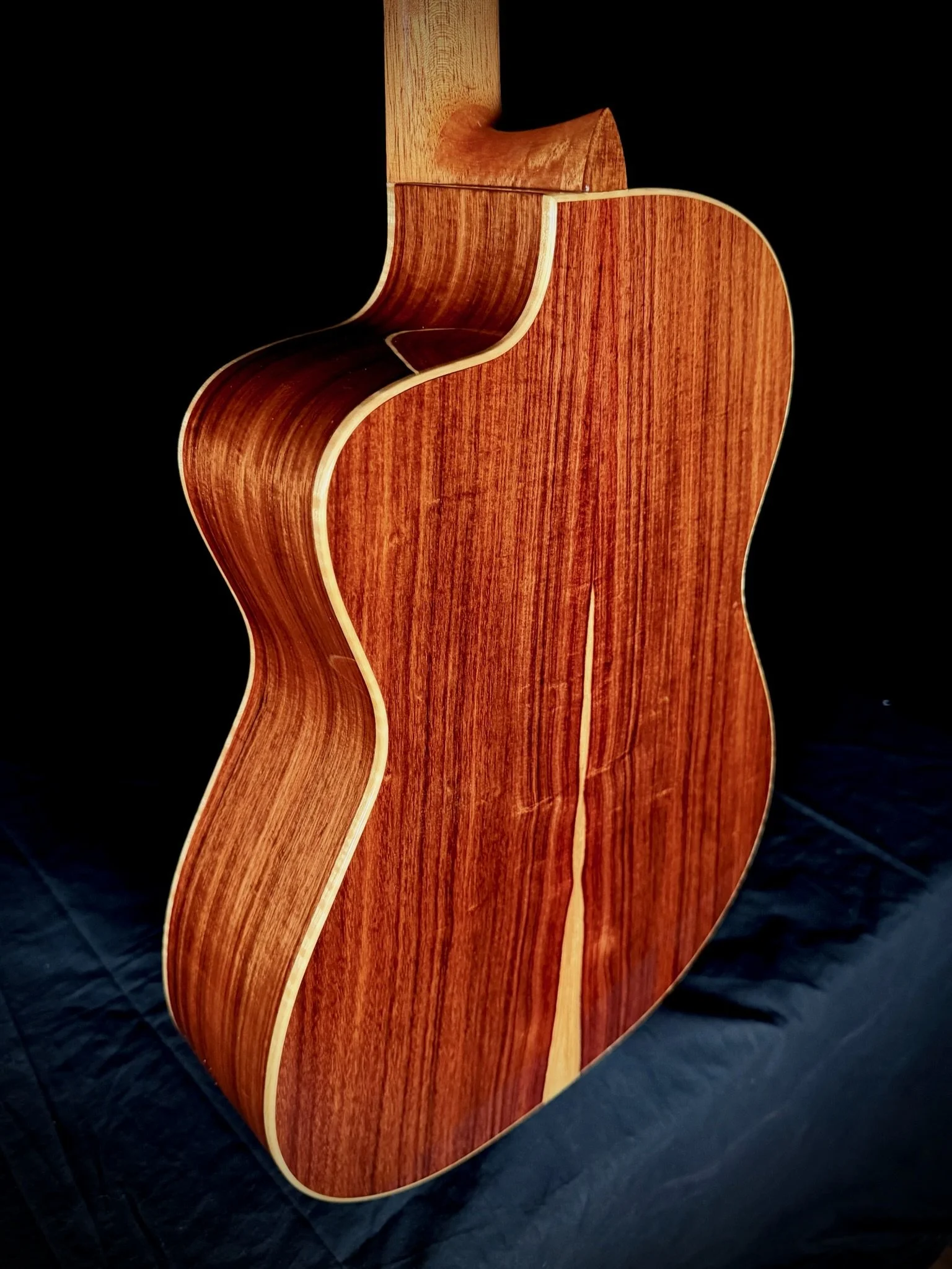 1001 Pro Nylon Cutaway backbody angle.jpg