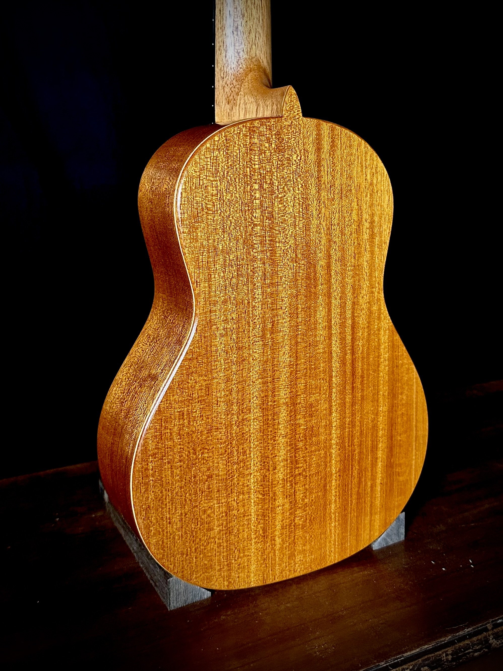 244 Mahogany Pyro Tenor Ukulele backbody.jpeg