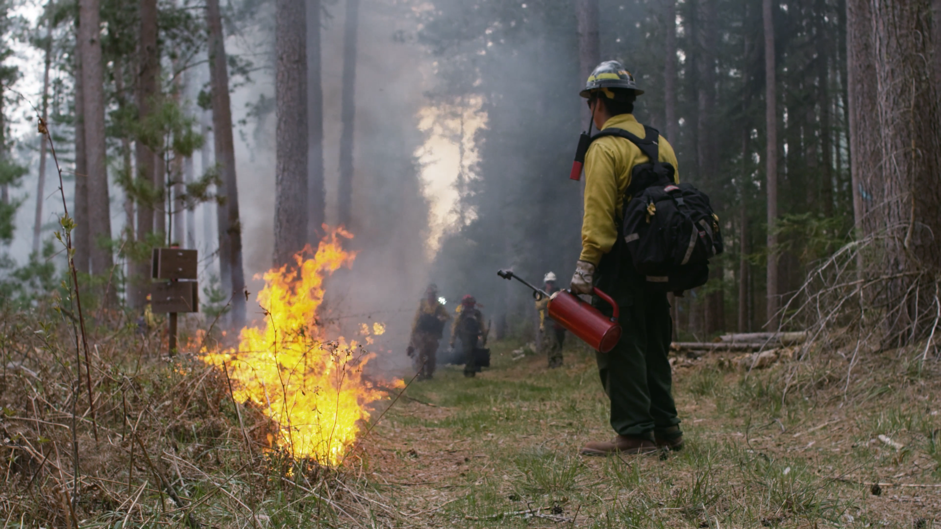 A Wilderness Act