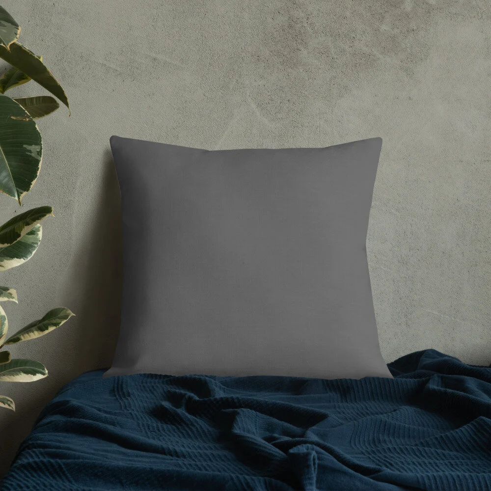 all-over-print-premium-pillow-22x22-back-lifestyle-8-609dae6015701.jpg