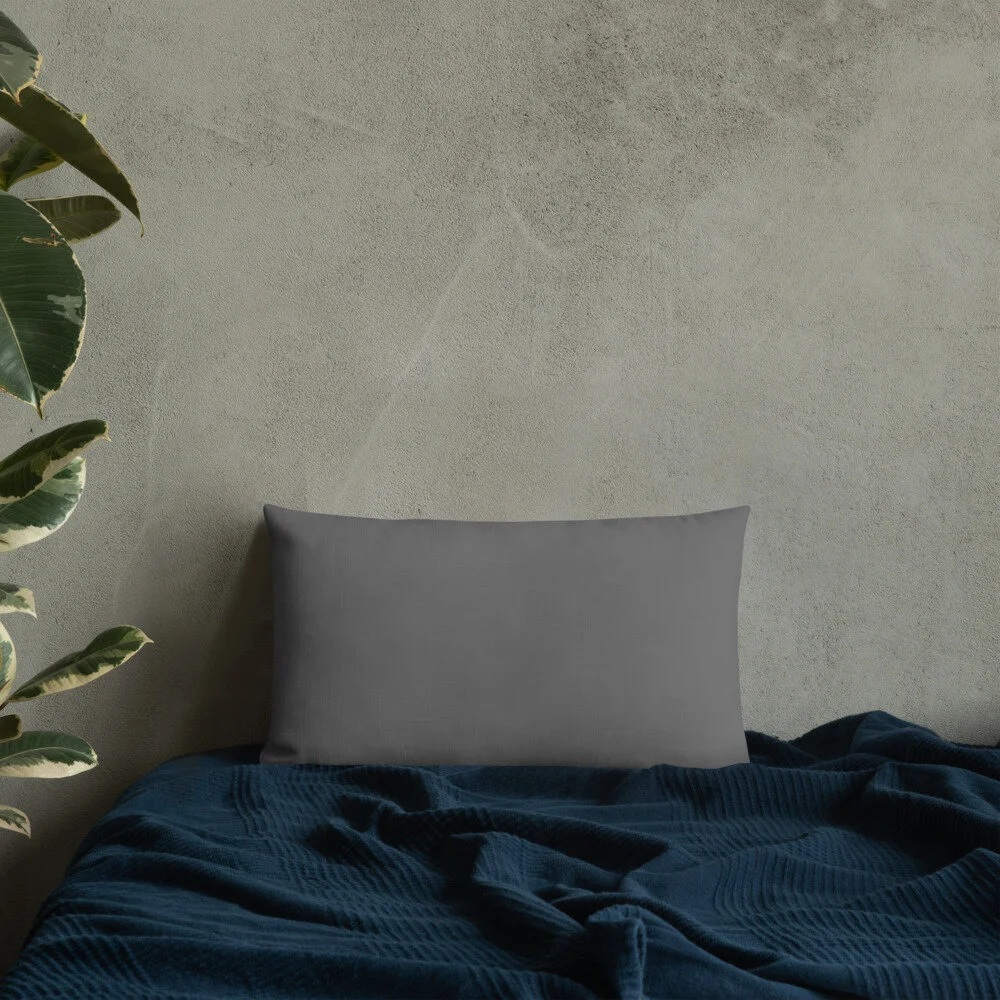 all-over-print-premium-pillow-20x12-back-lifestyle-8-609dc127819e7.jpg