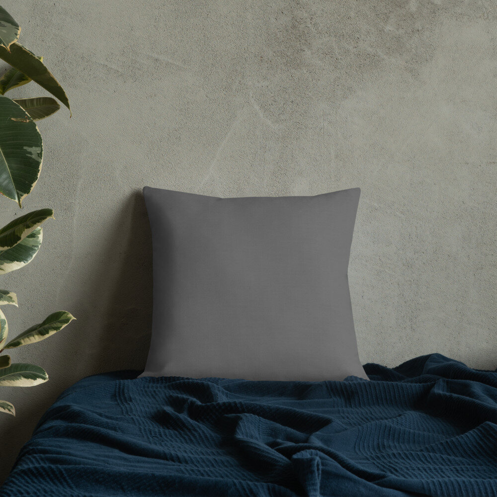 all-over-print-premium-pillow-18x18-back-lifestyle-8-609dc1d97350c.jpg