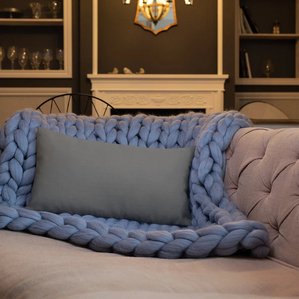 all-over-print-premium-pillow-20x12-back-lifestyle-3-609dd00eed562.jpg