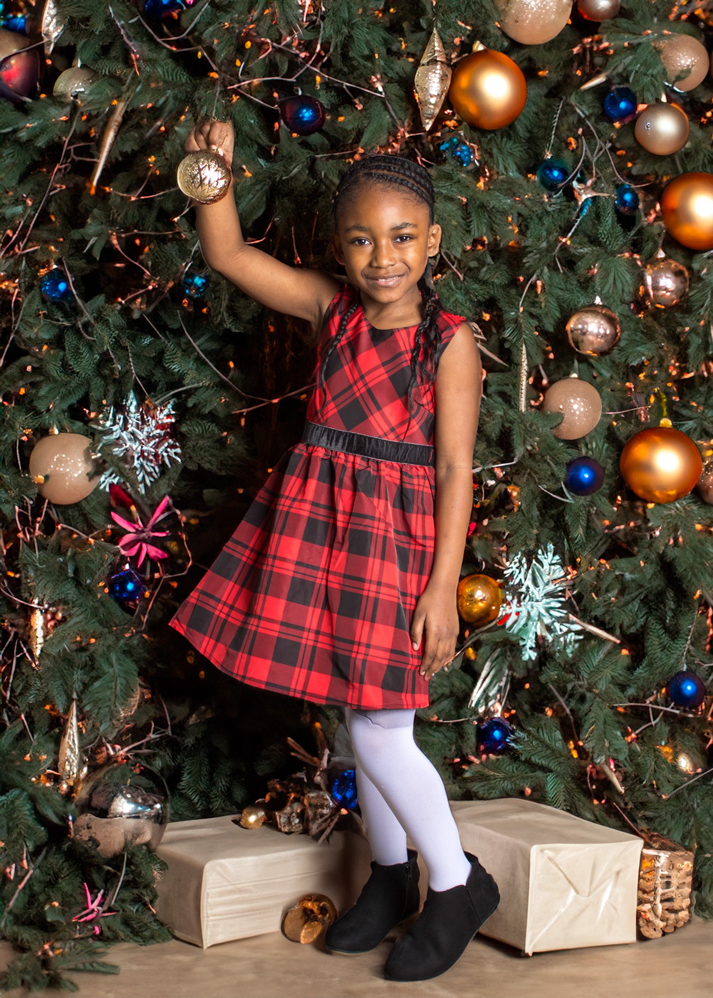 Ari's Christmas Mini Session 2.jpg
