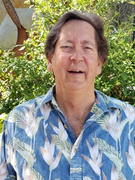 A Perspective from a ReMend Mentor