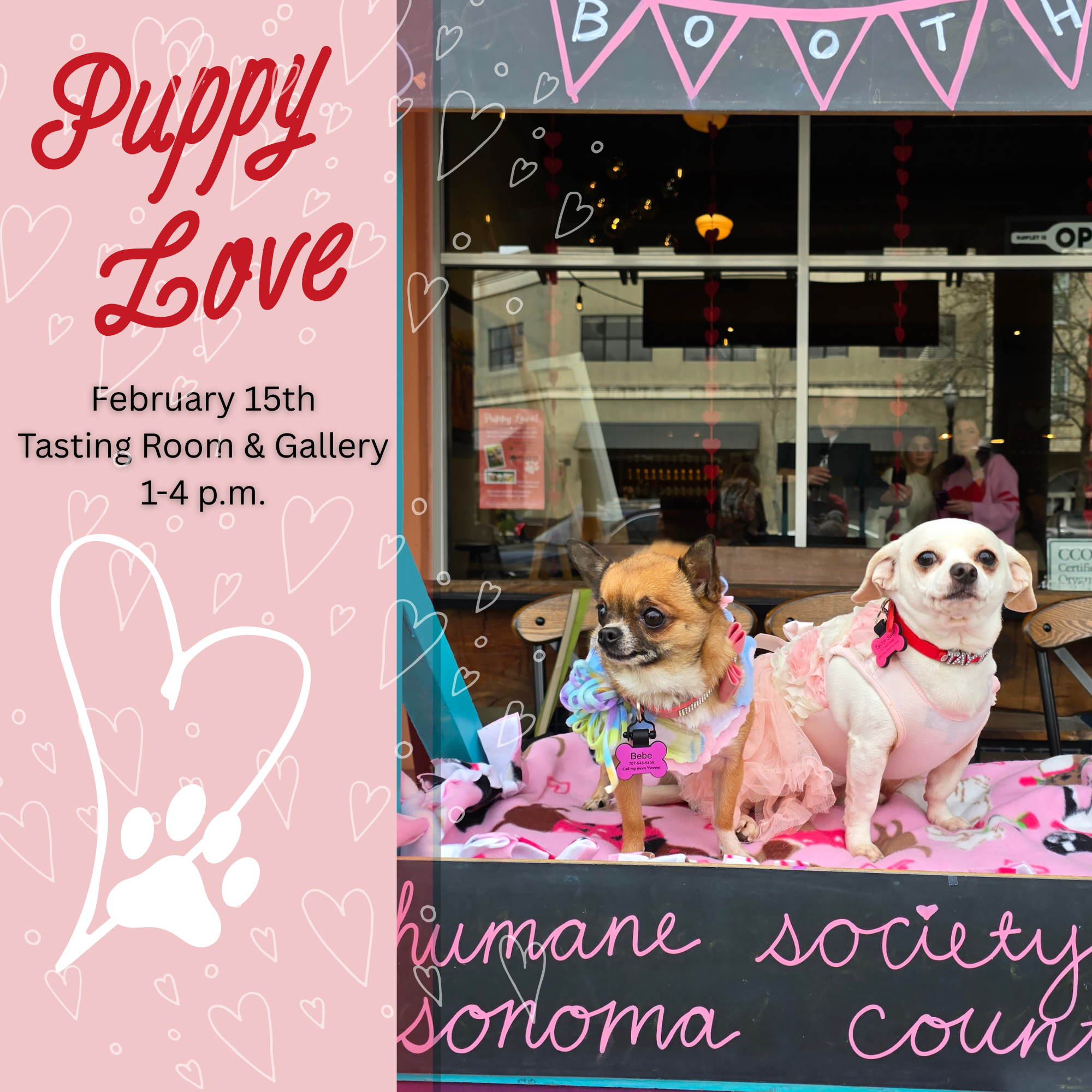 Puppy Love Release Party