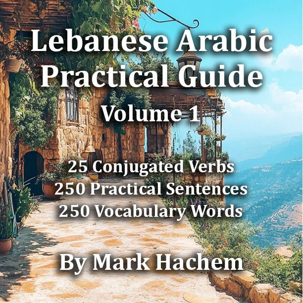 practical guide 1 ebook cover square.jpg