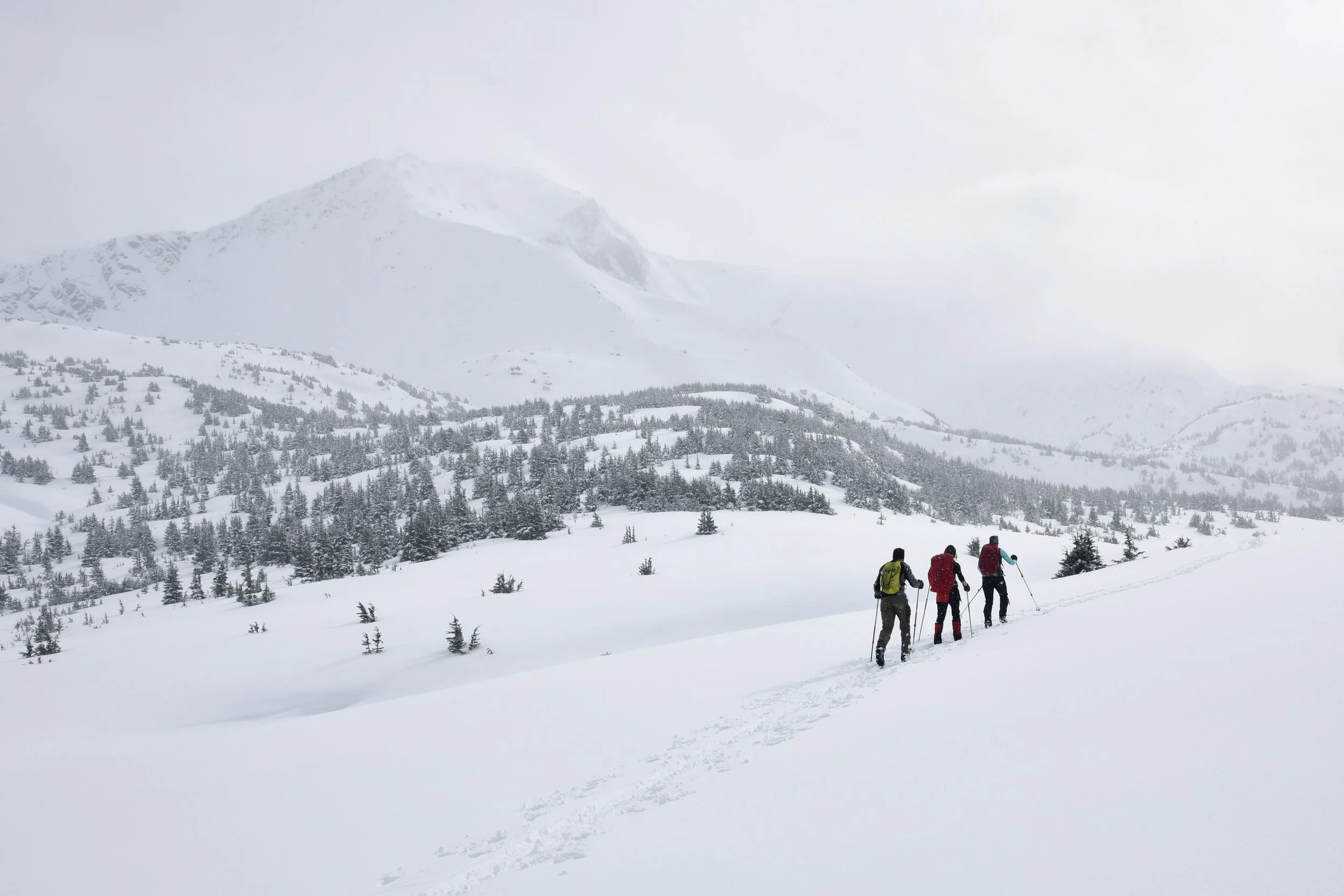 What happens when trademark policing goes too far? Backcountry.com presents a cautionary tale.