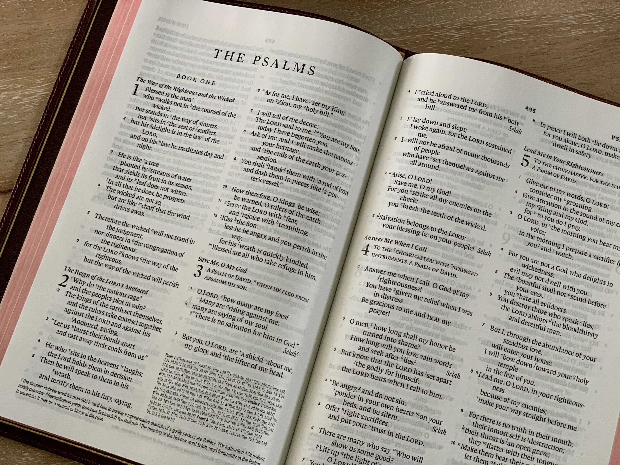 How to Read the Psalms