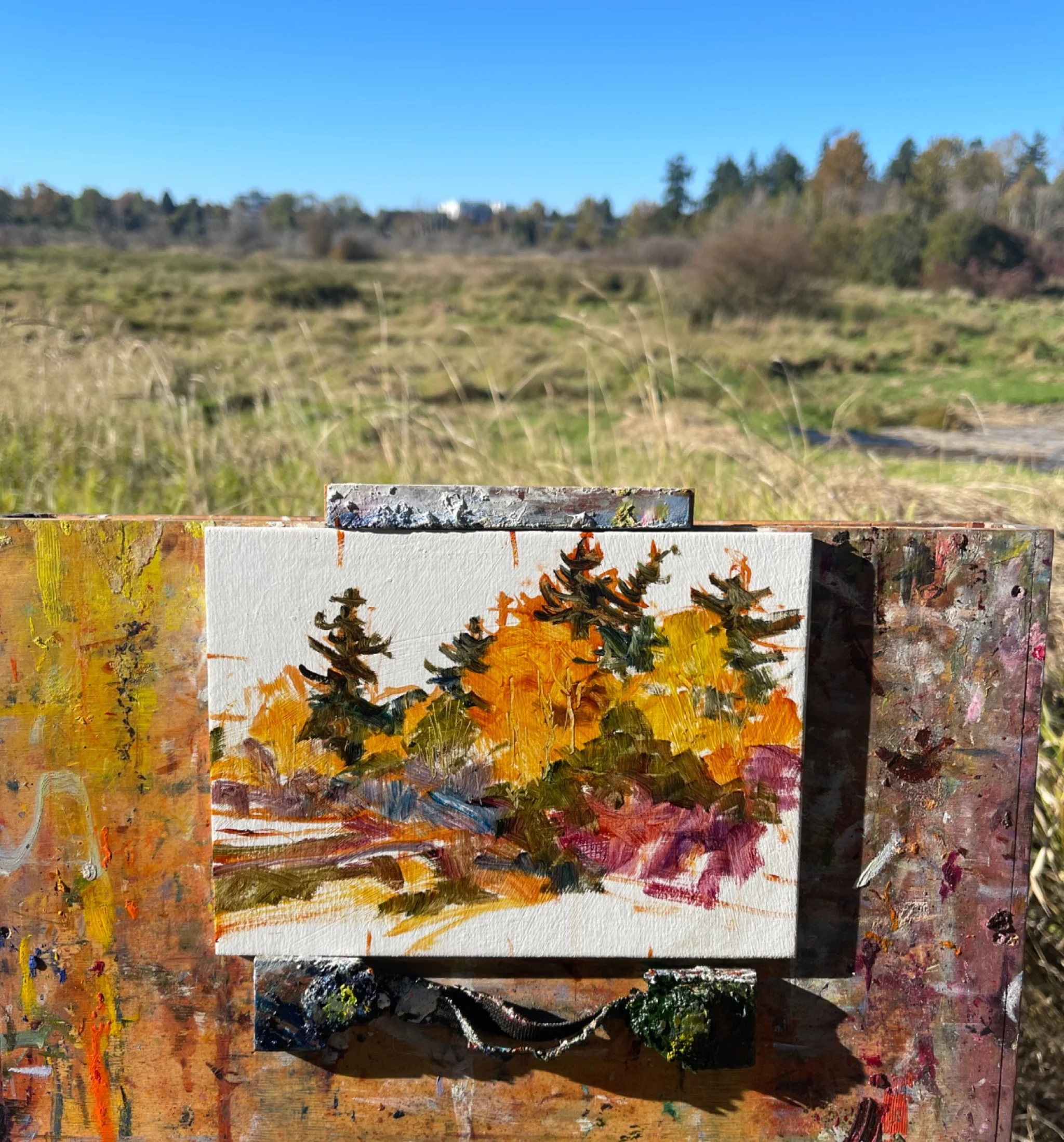 The colours are changing SO rapidly at the moment!!!! We have a tree in the backyard that yesterday was more green than yellow. Today, it flipped to more yellow than green. 

I love the colours of fall, it makes me want to get all cozy inside, pull o