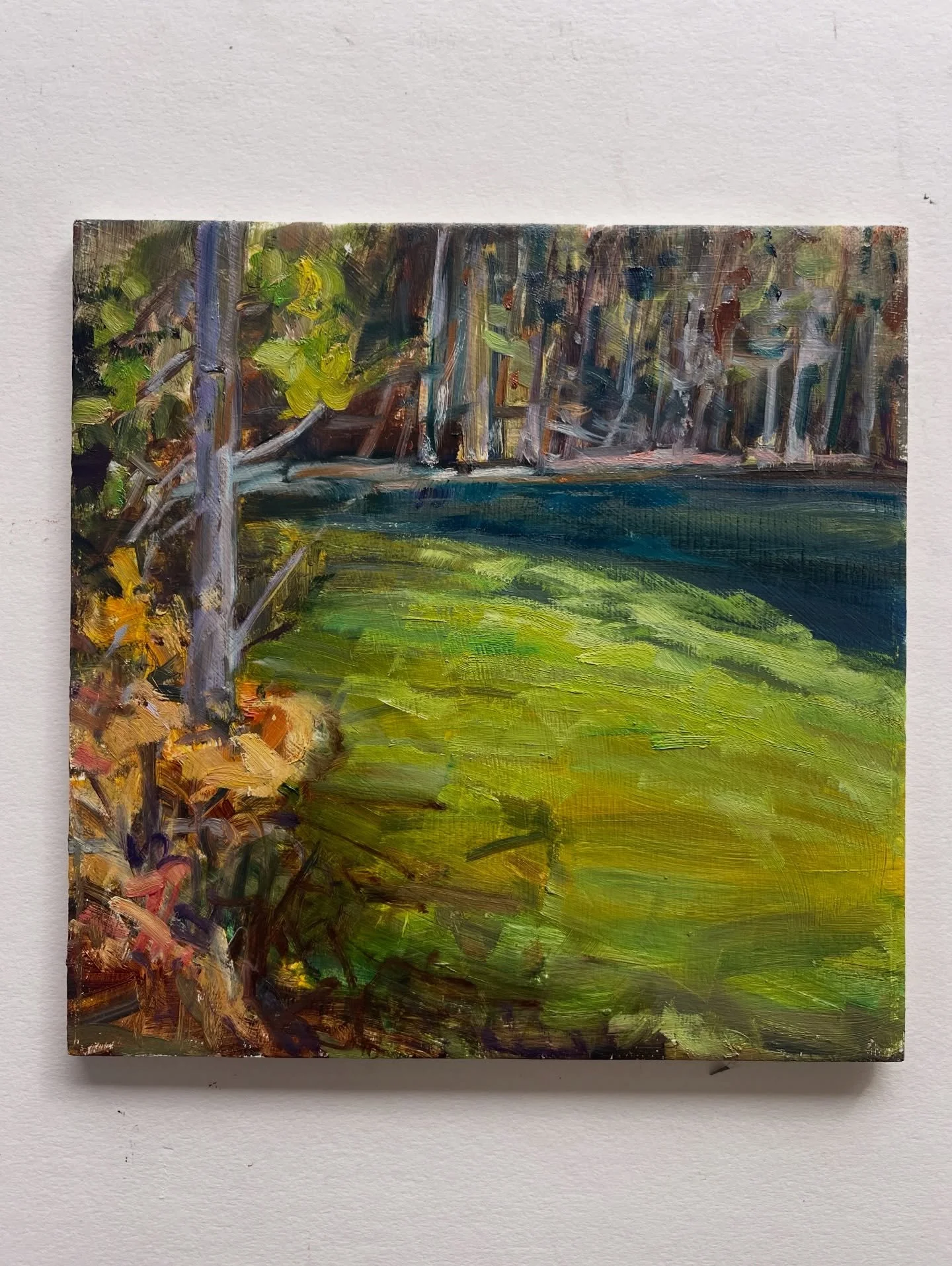 Day 28

Electric green was the colour we saw that day at a  lake I don&rsquo;t remember the name on the way to Kananaskis very near Canmore. 
The sun lit up the water and it was like a neon light had been turned on!! 

I had a very rough plein air sk
