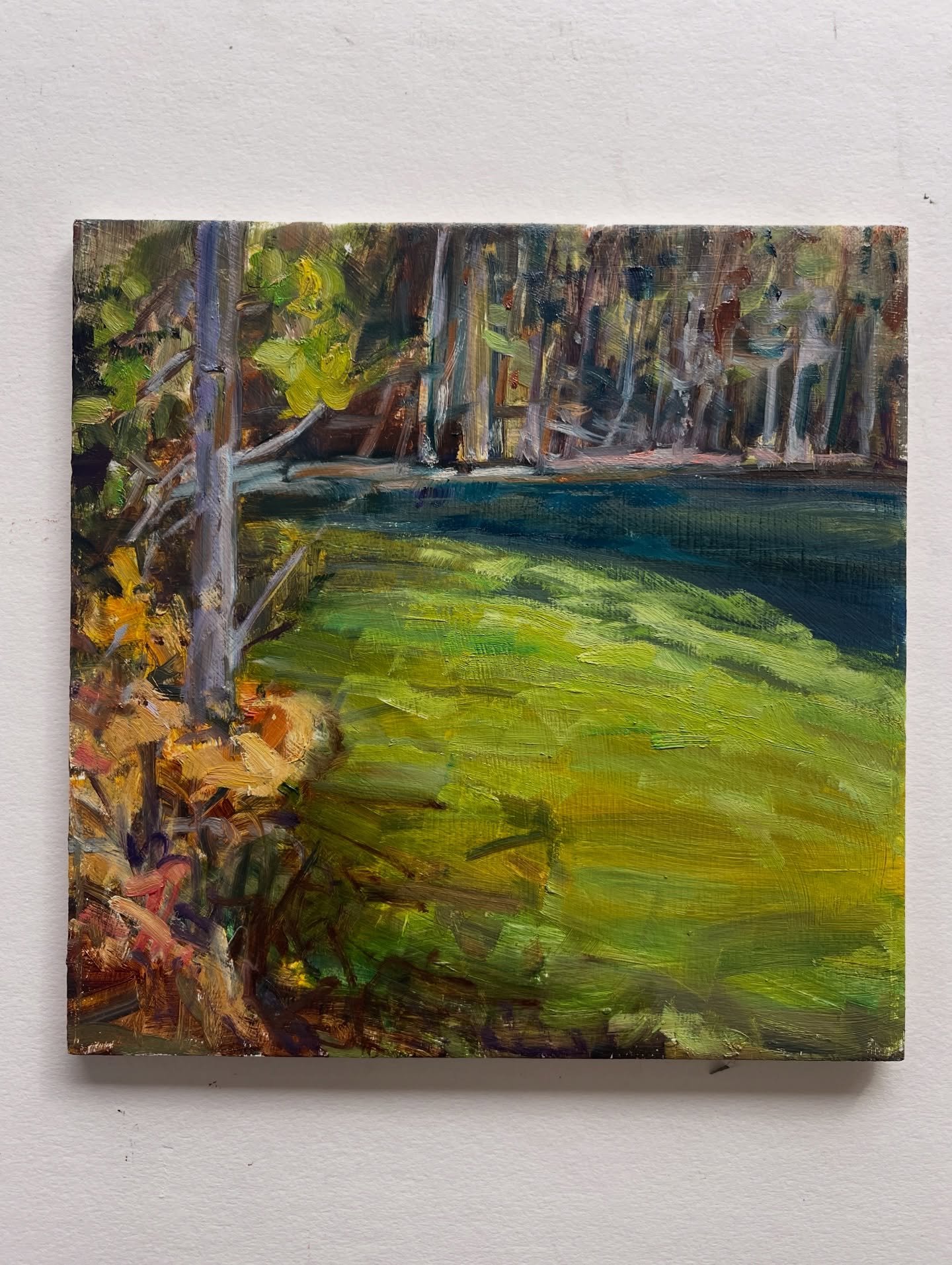 Day 28

Electric green was the colour we saw that day at a  lake I don&rsquo;t remember the name on the way to Kananaskis very near Canmore. 
The sun lit up the water and it was like a neon light had been turned on!! 

I had a very rough plein air sk