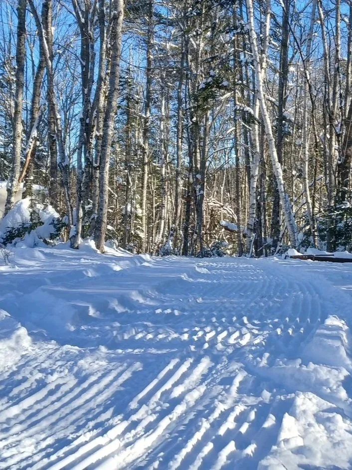 Groomed ski trail