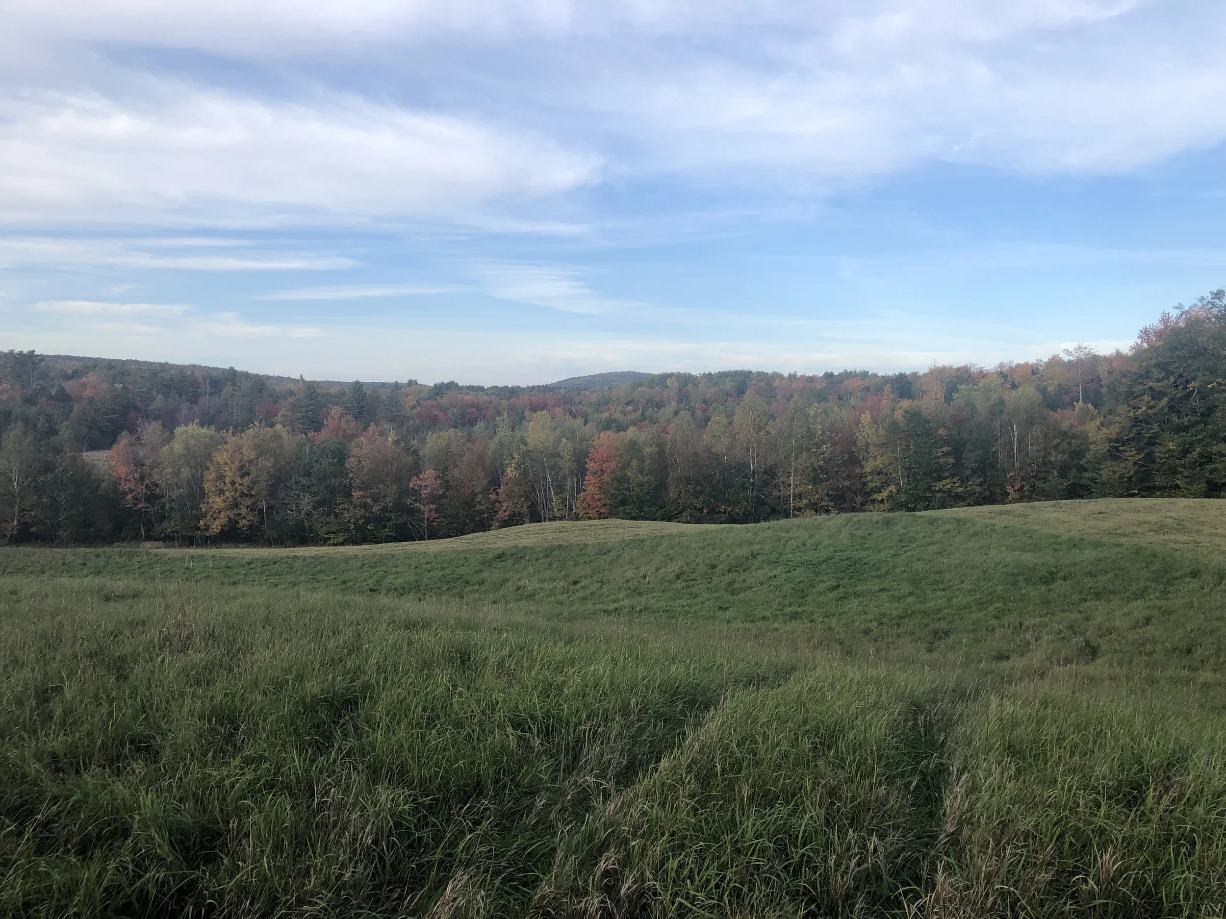 Celebrating Earthsong Sanctuary