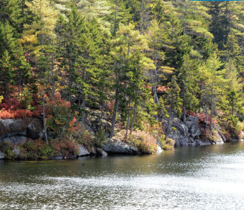 Peters Pond Trail System