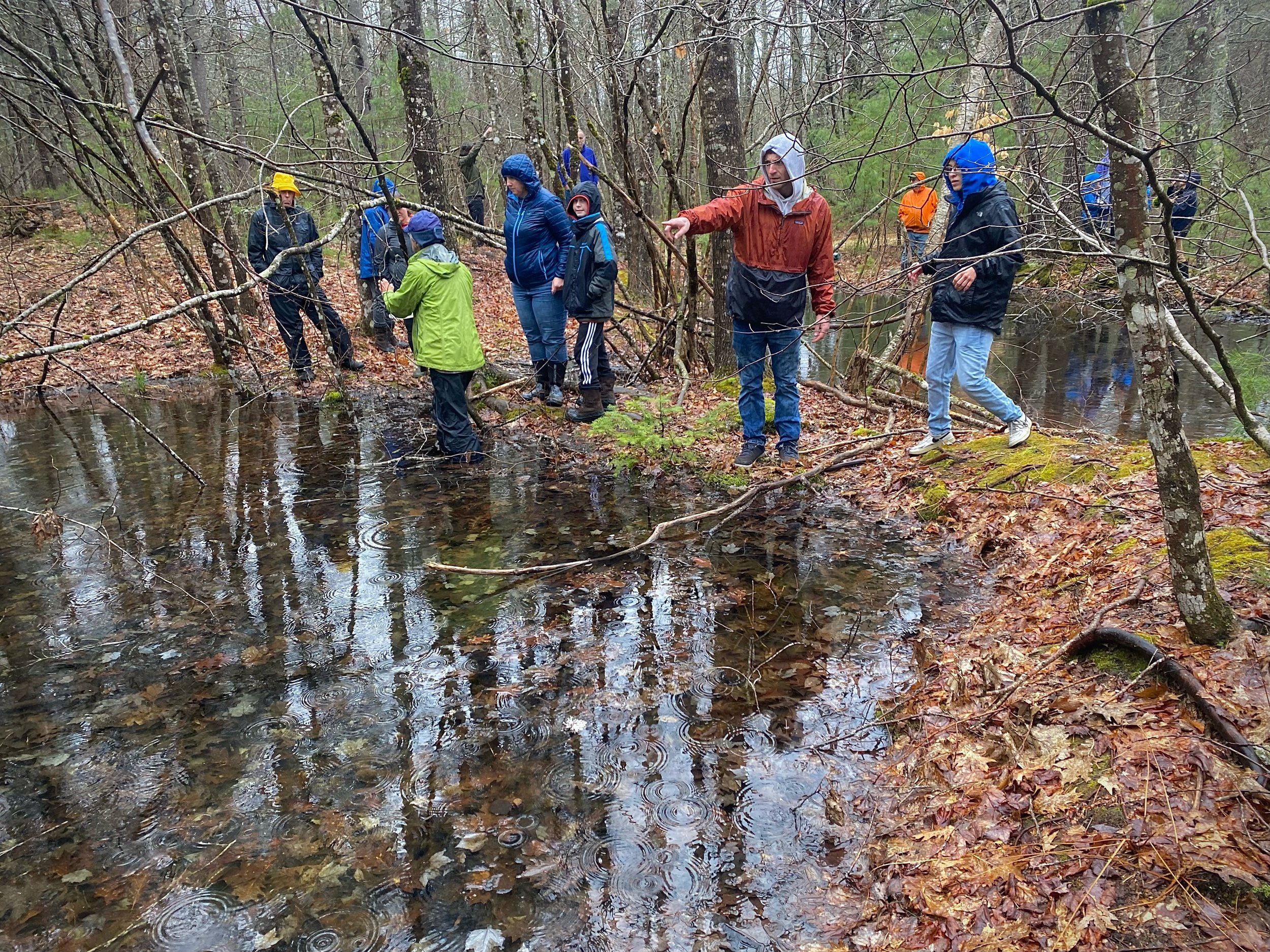 Naturalist Workshop Series: vernal pools