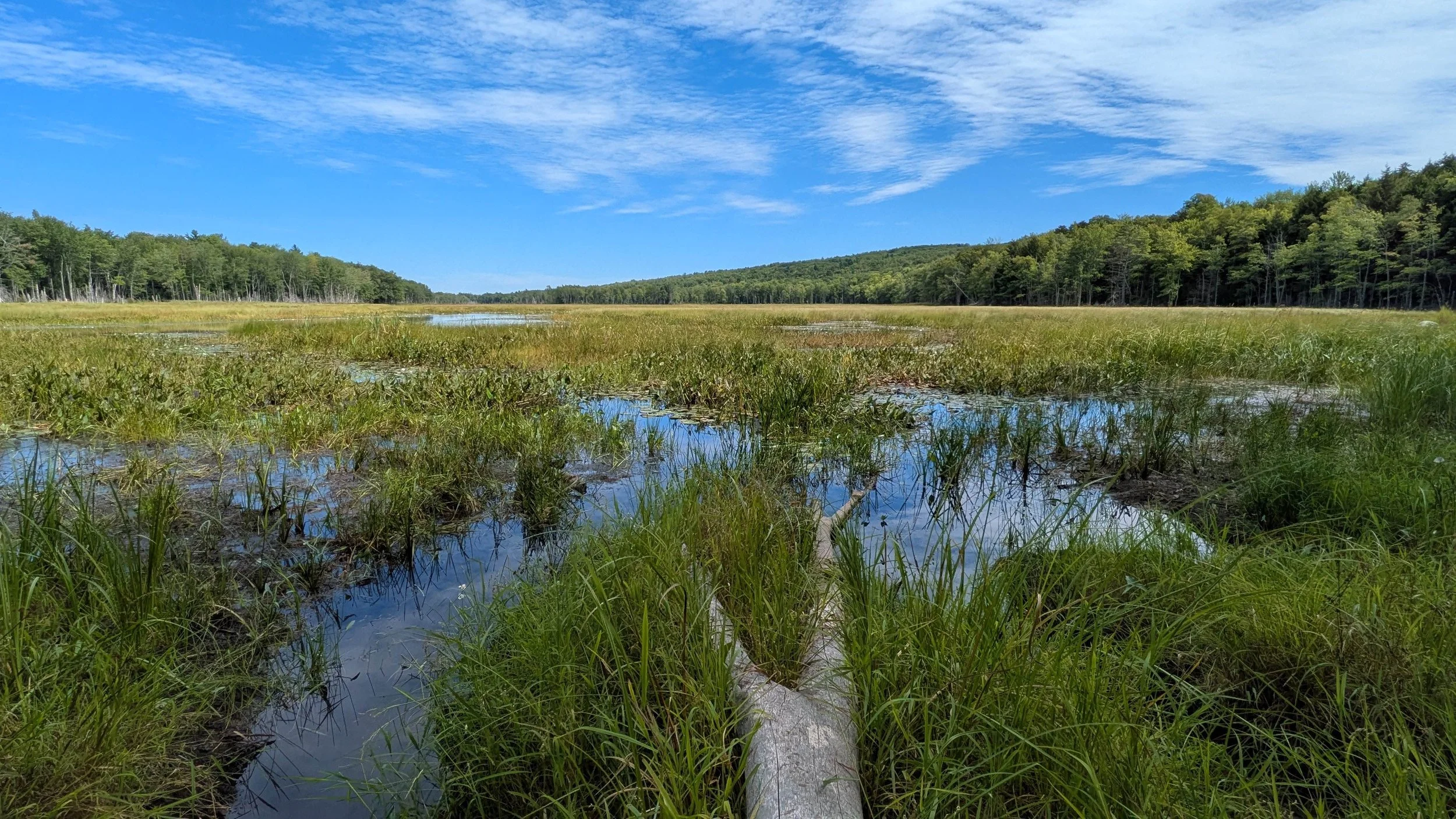 Watersong from the ground