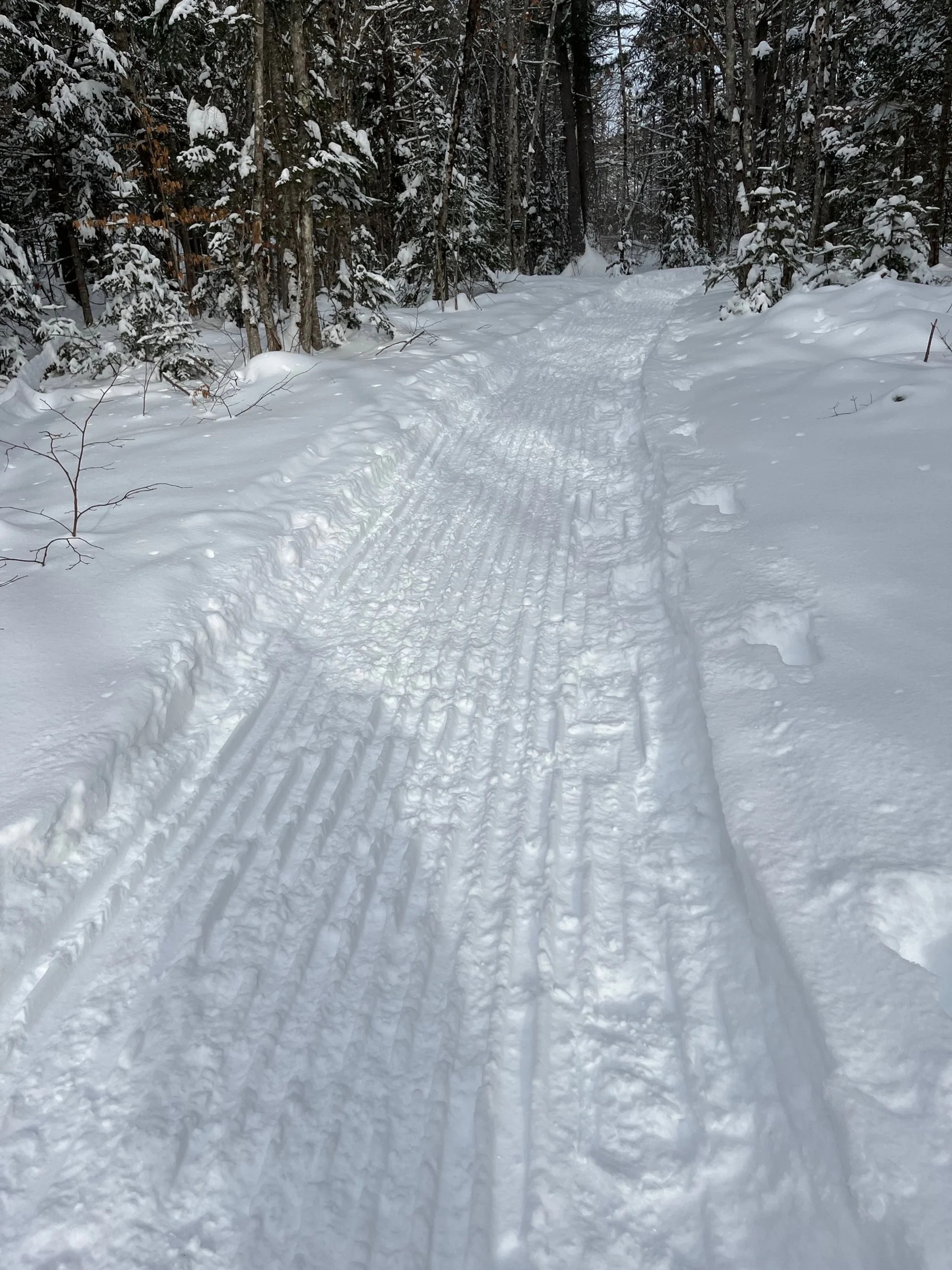 Weekend Trail Update