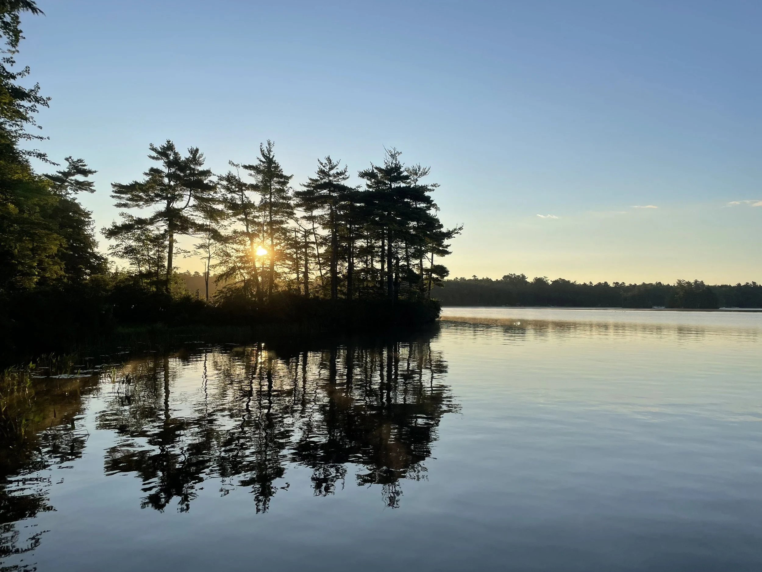 A Message from our New Board President