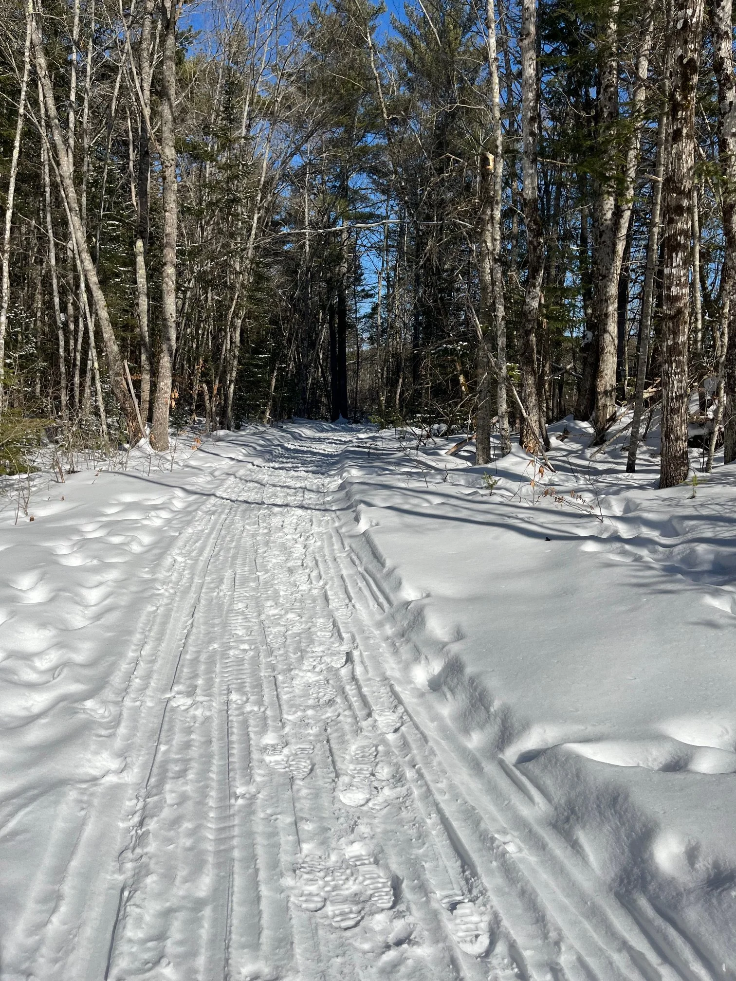 February Snow brings the skiers out