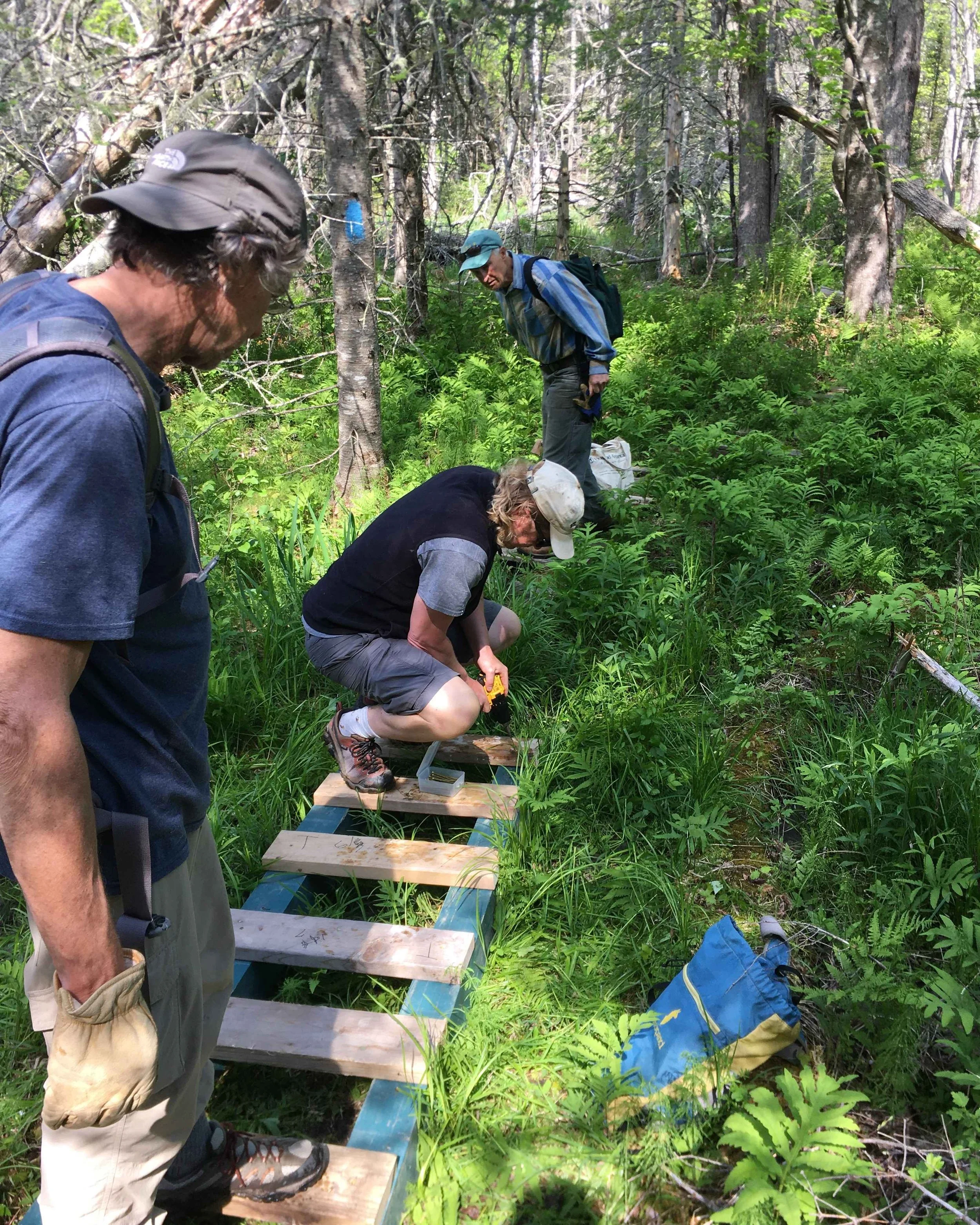 Volunteer Opportunities Now Open for Spring and Summer