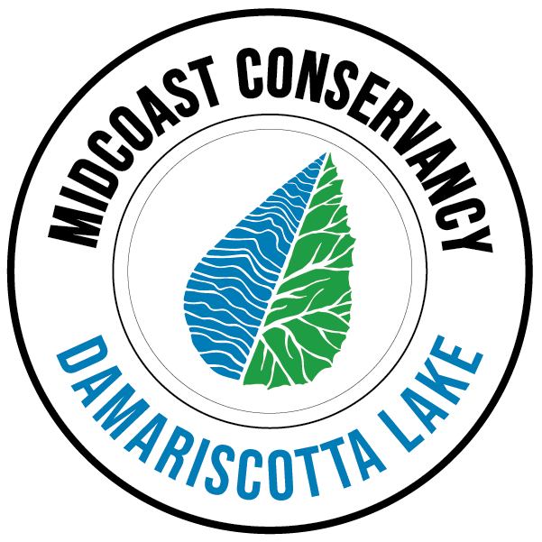 On the Lake: Protecting Damariscotta Lake This Season