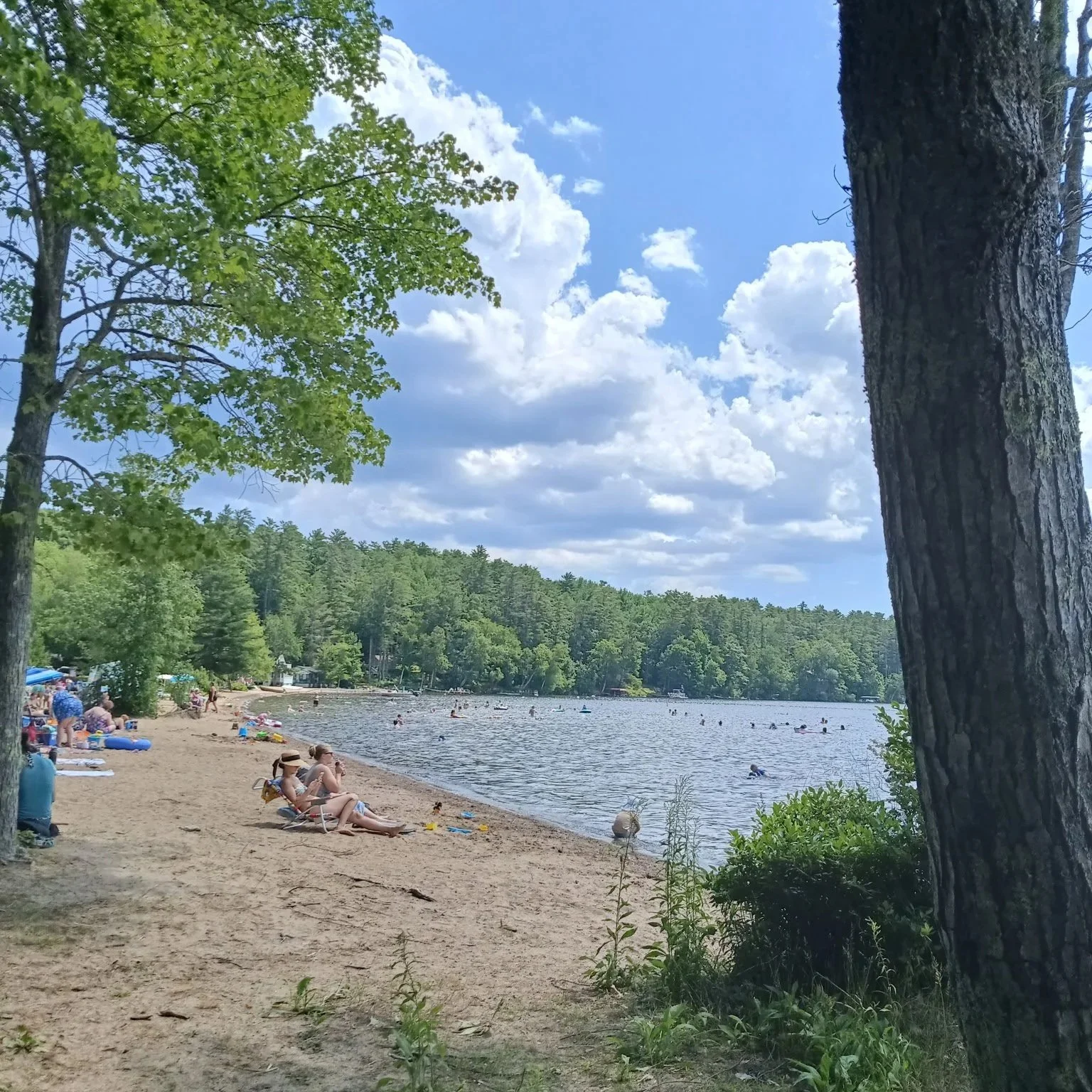 On the Lake: Protecting Damariscotta Lake This Season