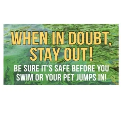 Midcoast Conservancy launches Cyanobacteria education campaign to promote healthy waters in Maine