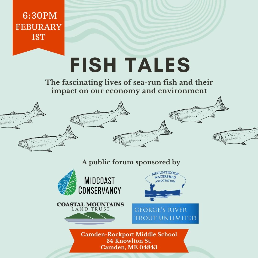 Fish Tales: An Educational Sea-Run Fish Forum — Midcoast Conservancy