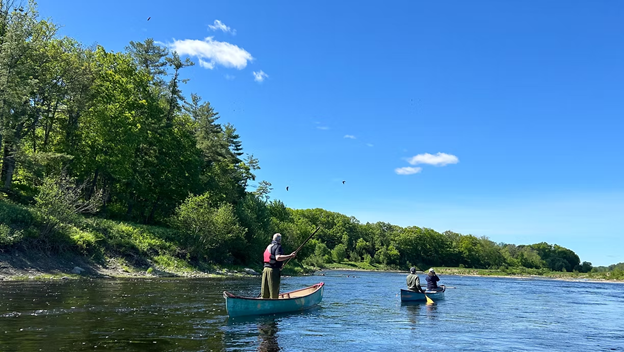 Sebasticook River Paddle.png