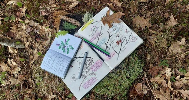 Nature Journaling 1.jpg