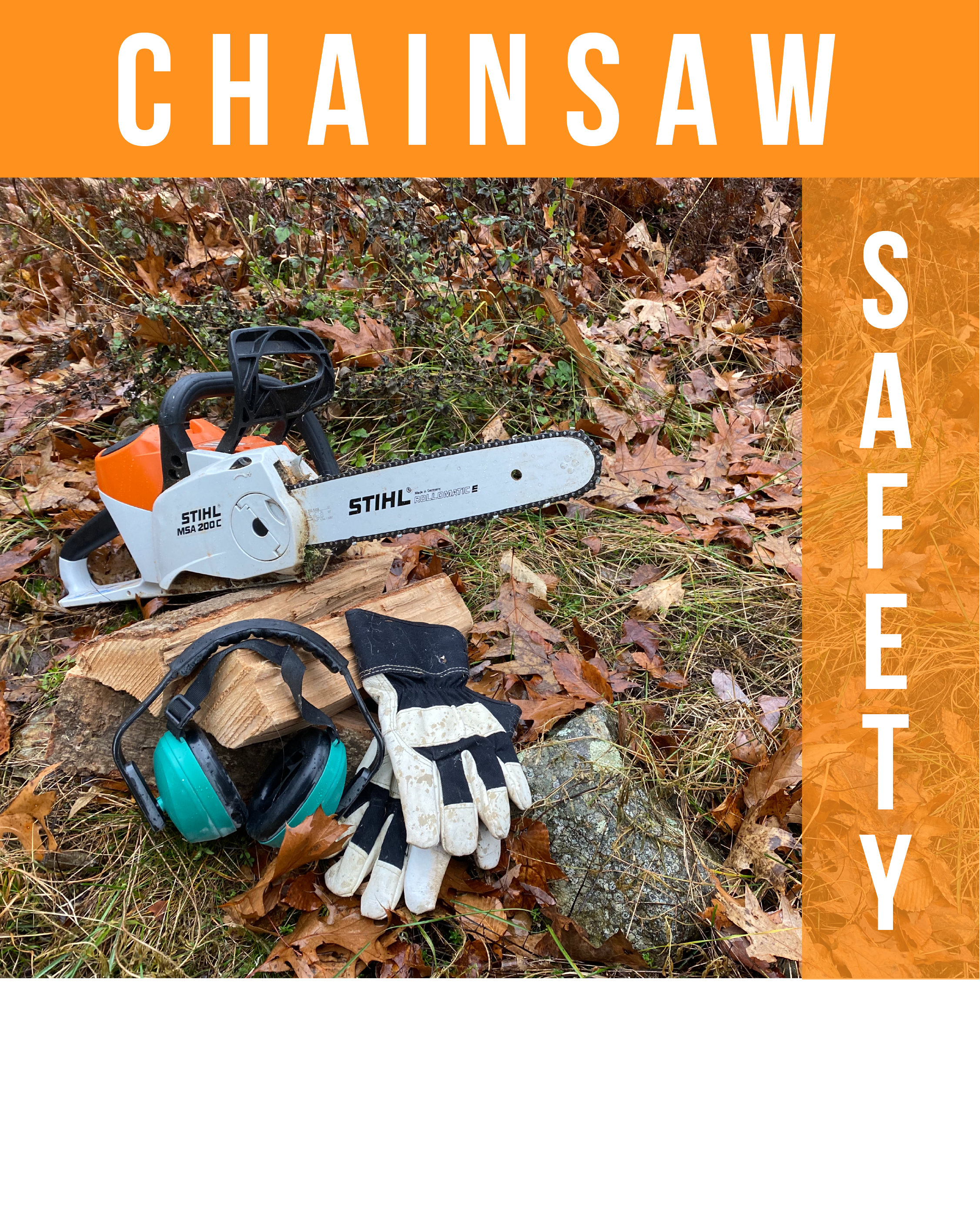 Chainsaw Safety: Safety Features and Maintenance - Alabama Cooperative  Extension System