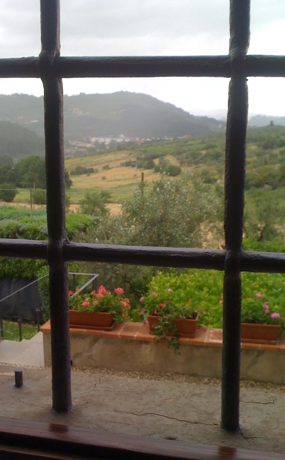 window view 