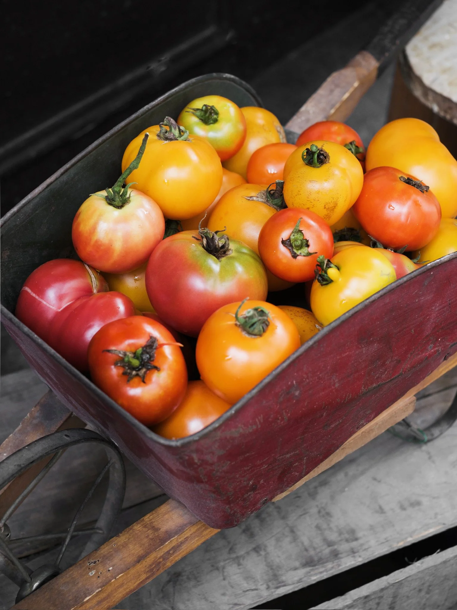 o1397 mix aug25_IANG7637.JPG