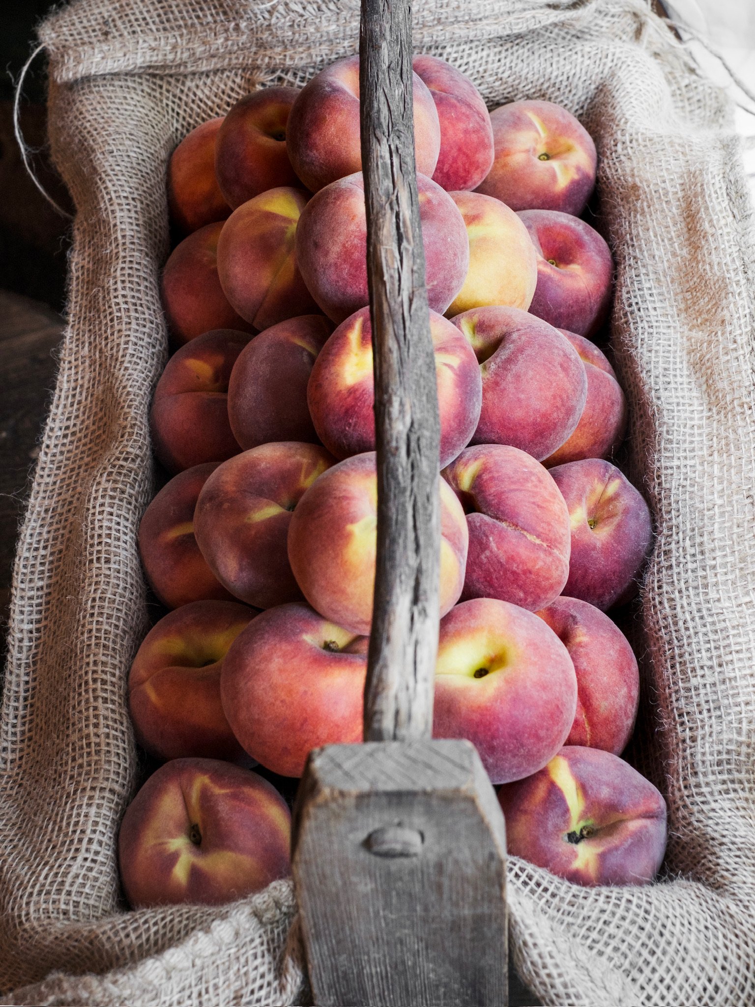 o1397 peaches_IANG6193.JPG