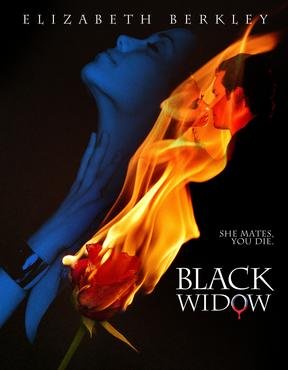 black+widow.jpeg