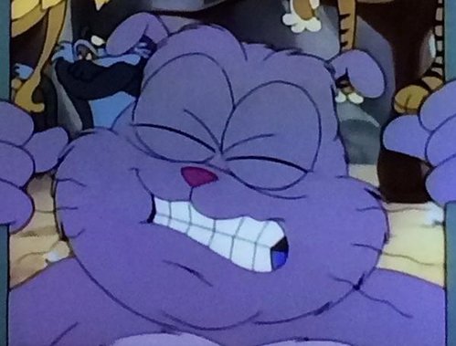 eekelgato.jpeg